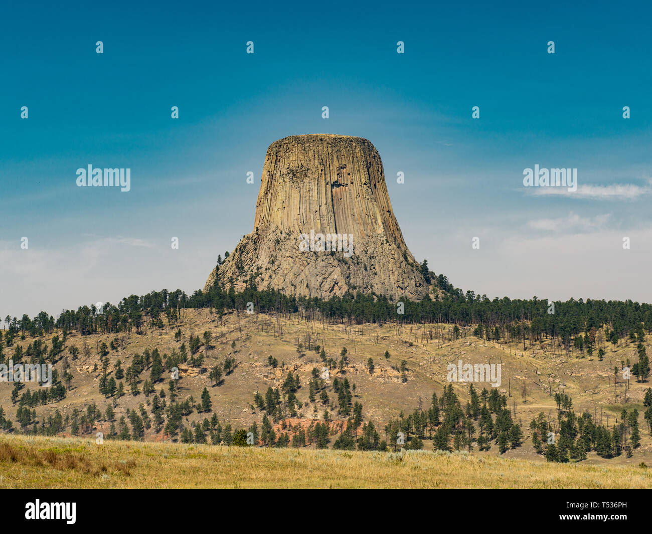Devil's Tower Wyoming Foto Stock