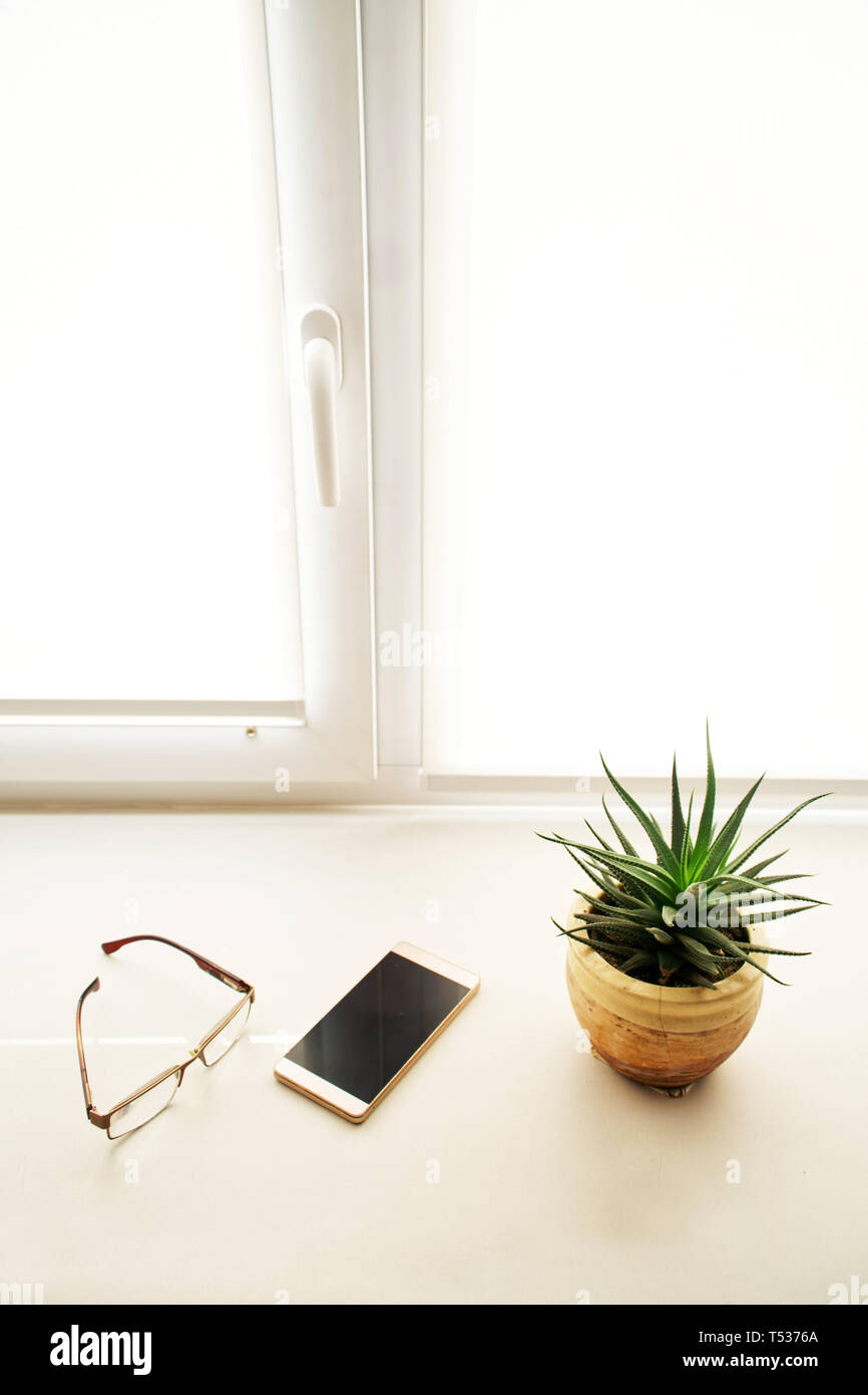 Cactus, smartphone, bicchieri e nota la carta sono sul davanzale in ufficio. Le piante vicino alla persona. L'immagine verticale. Foto Stock