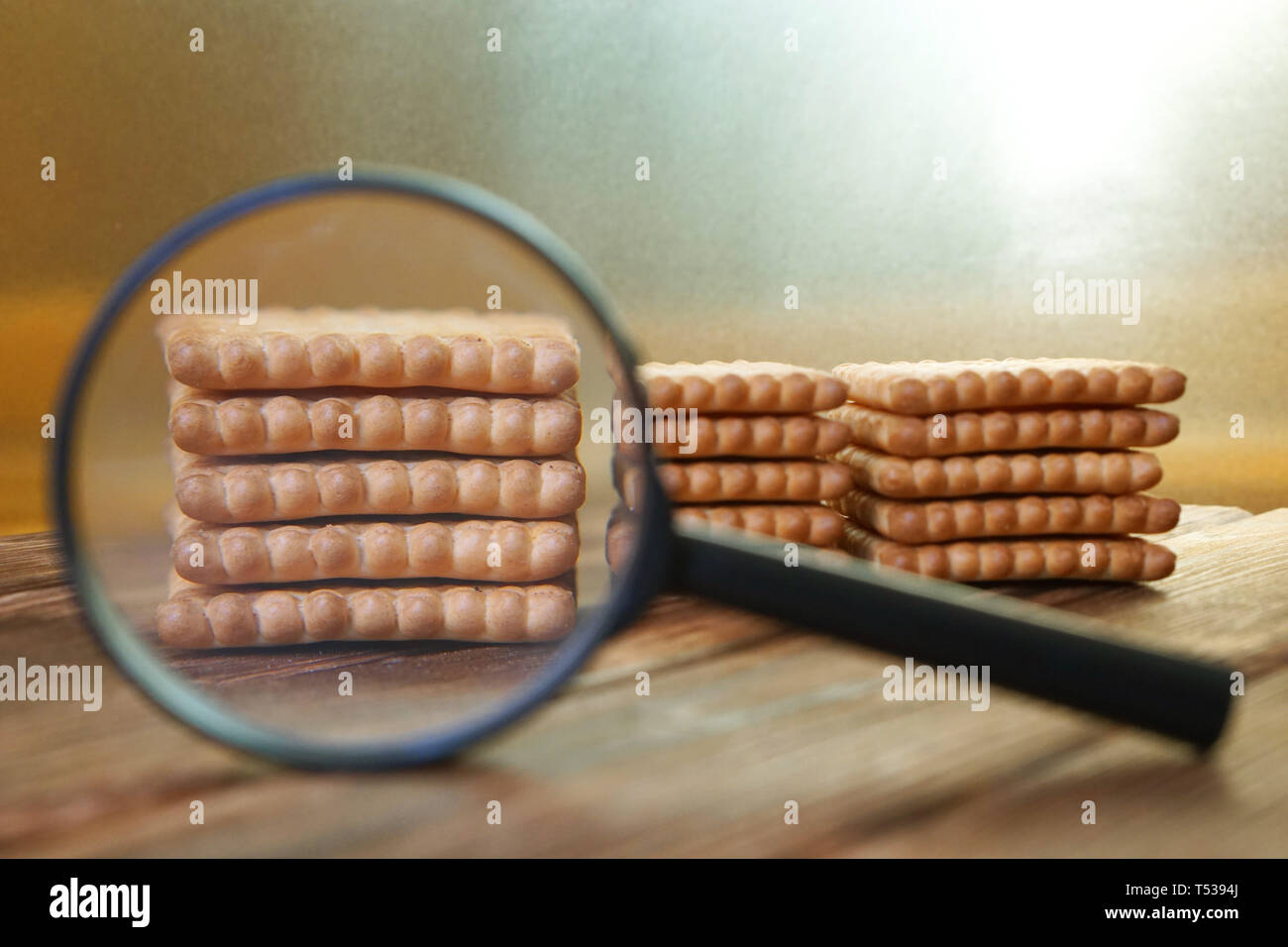 Lo studio della qualità di biscotti e crackers con una lente di ingrandimento. Ricerca per caratteristiche. Conduzione di esperimenti e analisi scientifica Foto Stock