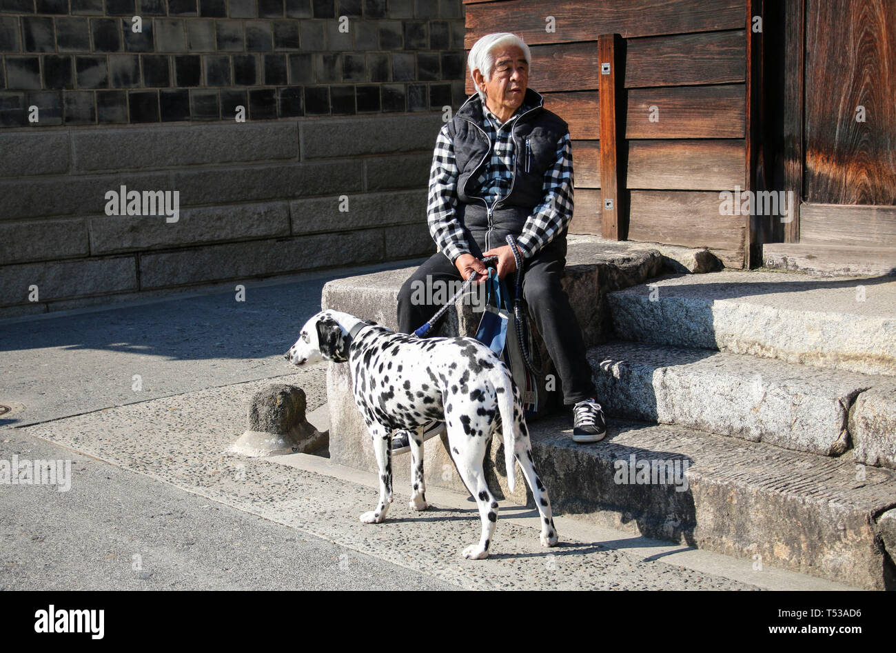 KURASHIKI, Giappone - 31 Marzo 2019: giapponese uomo con un cane di razza dalmata di appoggio sui gradini vicino alla casa di Kurashiki city, Giappone. Foto Stock