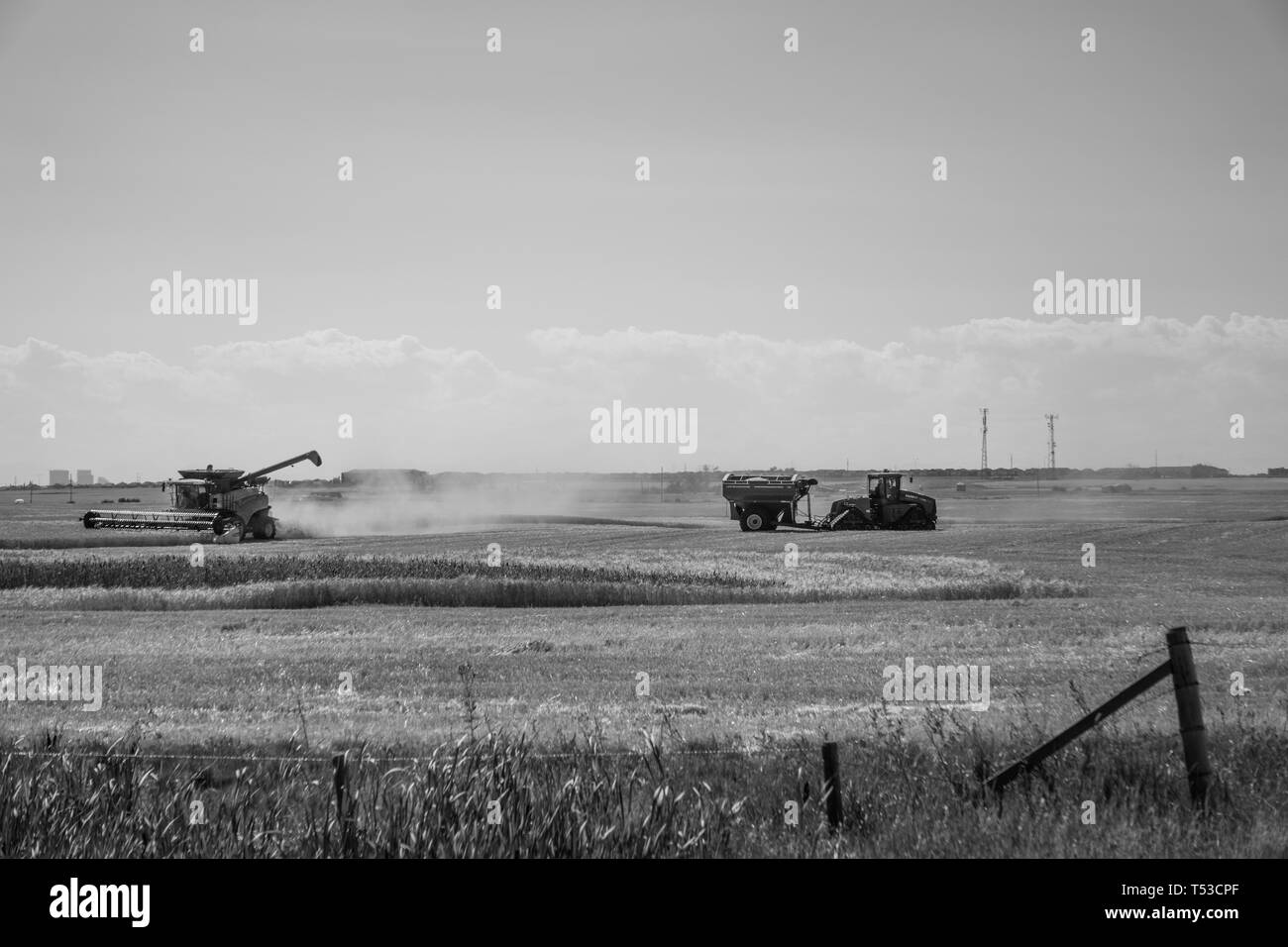 22 agosto 2017 - Calgary, Alberta, Canada - trattori agricoli e attrezzature il raccolto del prodotto Foto Stock
