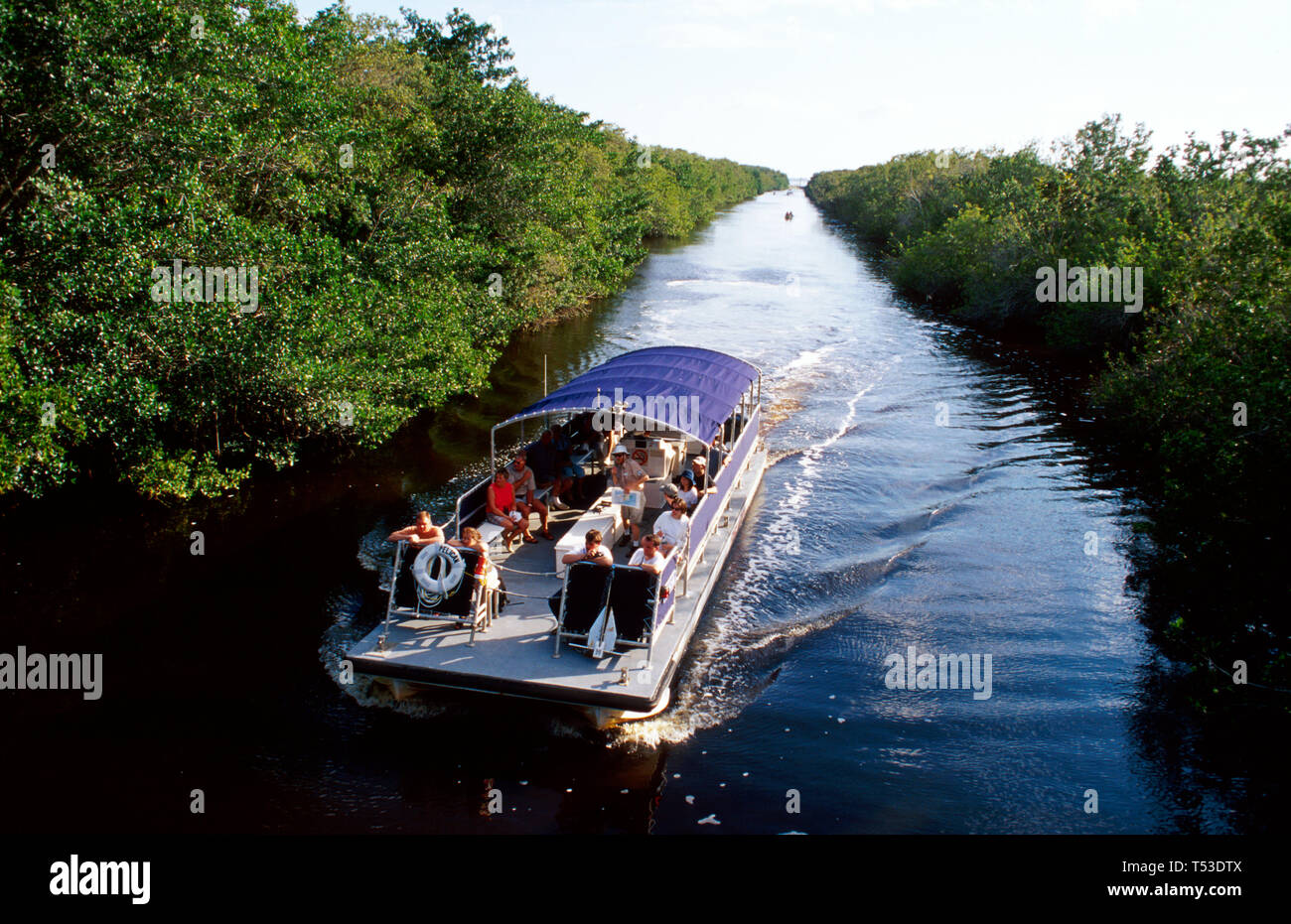 Florida Everglades National Park Flamingo Buttonwood Canal tour barca, visitatori visita guidata alberi di mangrovie, Foto Stock