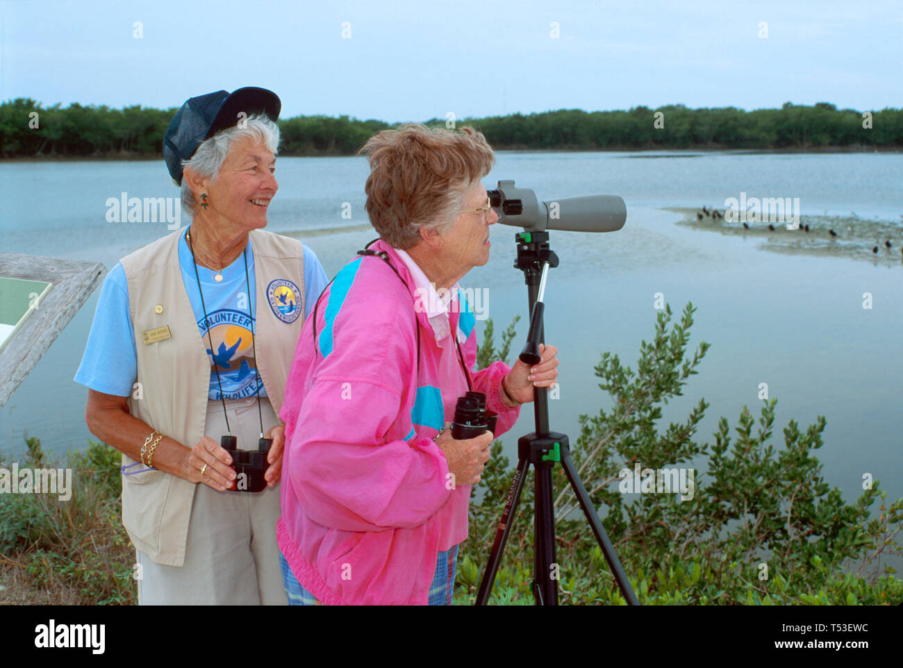 Sanibel Island Florida,JN Ding Darling National Wildlife Refuge,Federal Land,pubblica,conservazione storica,natura,naturale,riserva,flora,fauna,senior Foto Stock