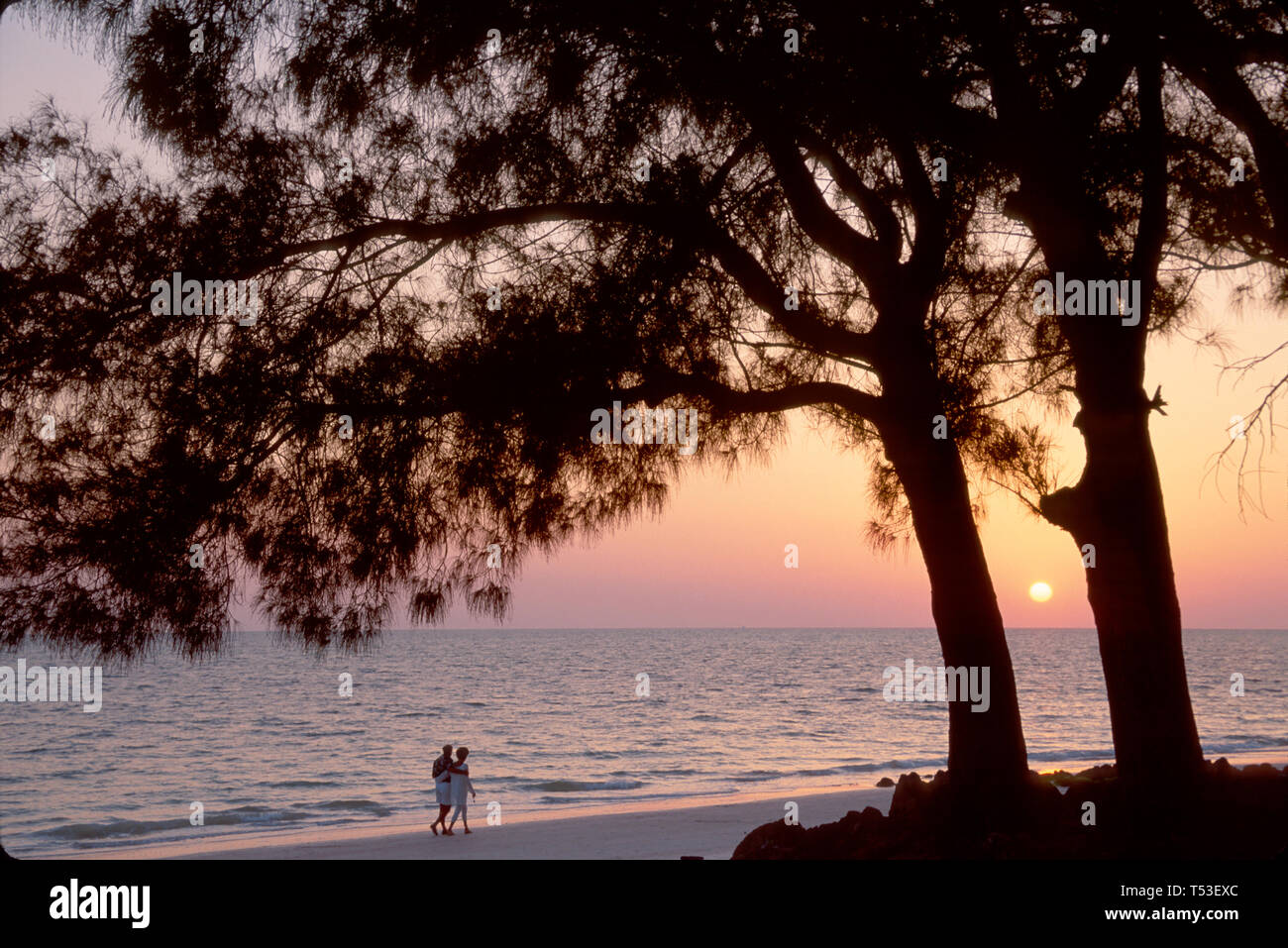 Florida Gulf Coast Manatee County Anna Maria Key Pines Coppia, uomo uomini maschio, donna donna donna donne, tramonto sulla spiaggia, panoramica, natura, naturale, scenario, count Foto Stock
