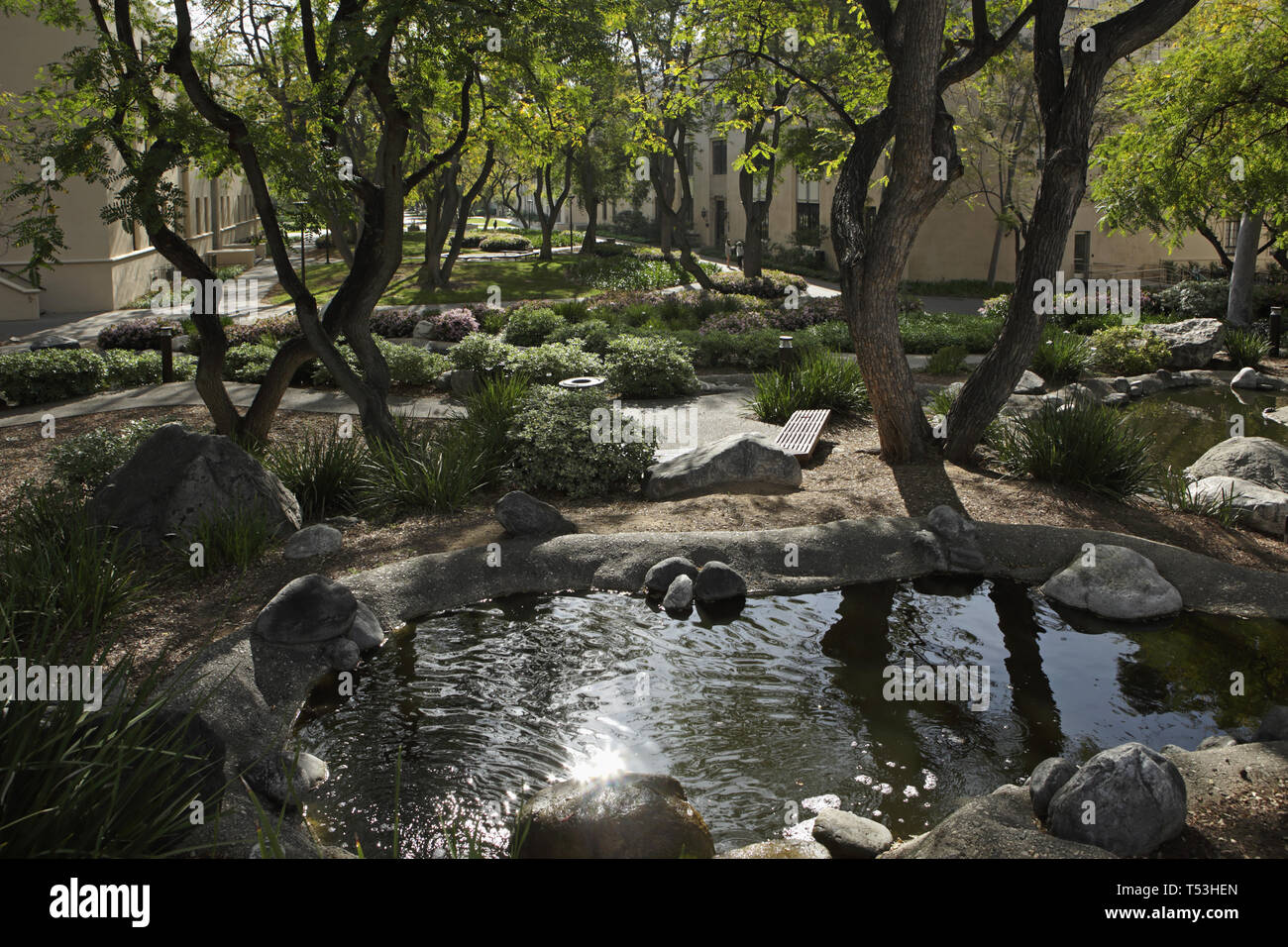 Caltech campus serie, giardini, Thomas e laboratorio di Guggenheim Foto Stock