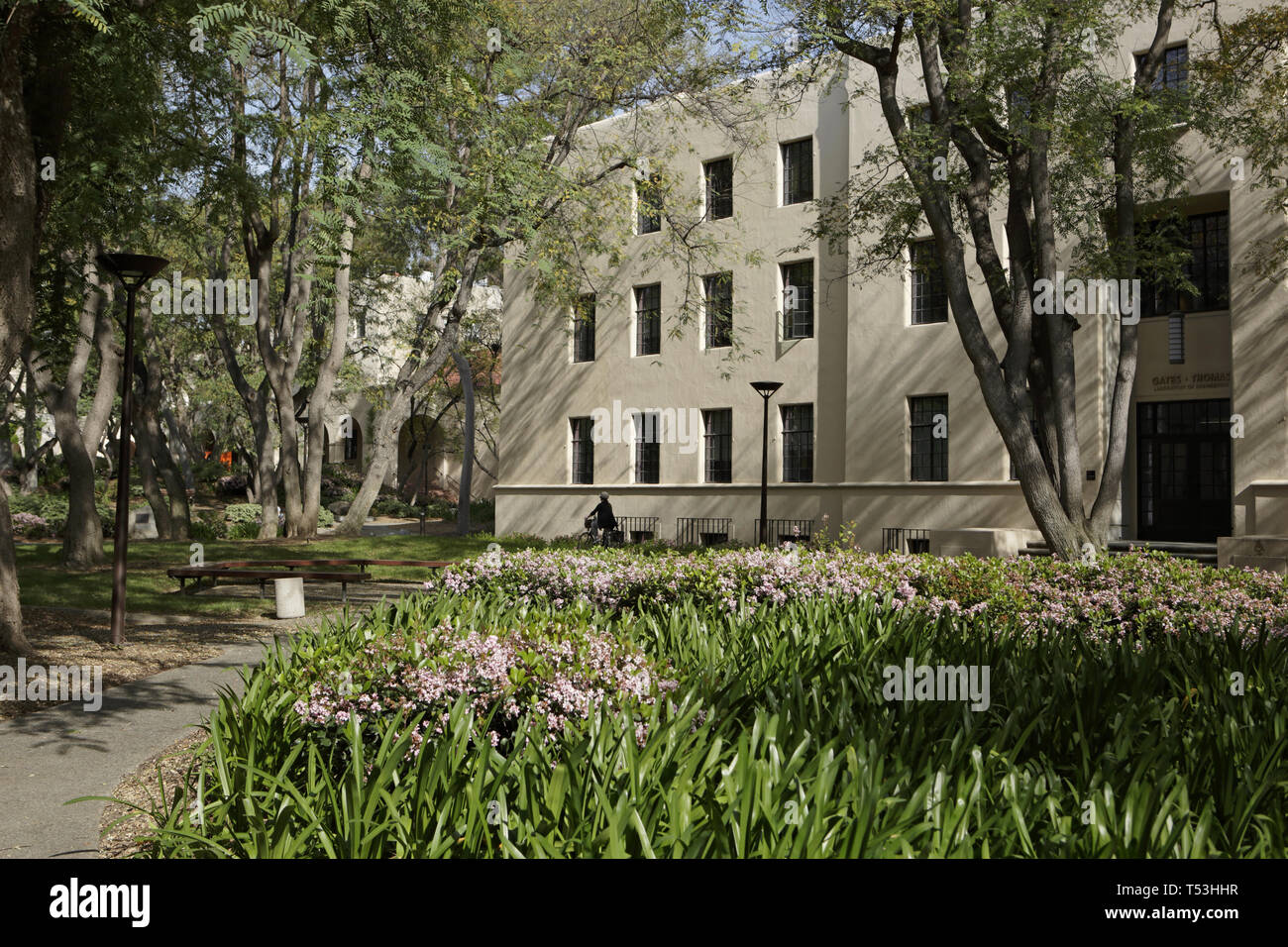 Caltech campus serie, giardini, Cancelli & laboratorio Thomas Foto Stock