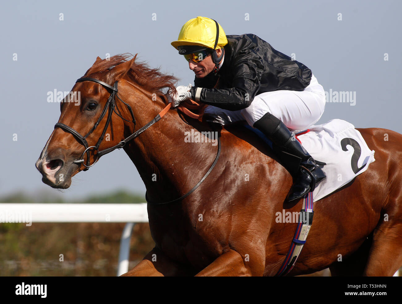 Agrotera guidata da Gerald mosse guidò il campo di casa per vincere la corsa di Stakes di Snowdrop TV di Racing all'ippodromo di Kempton Park. Foto Stock