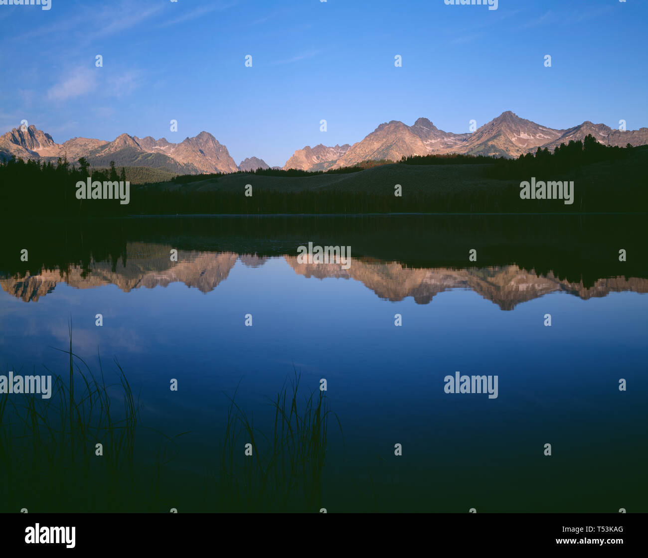 Stati Uniti d'America, Idaho, Sawtooth National Recreation Area, picchi della gamma a dente di sega di riflettere con un po' di scorfano Lago di prima mattina. Foto Stock