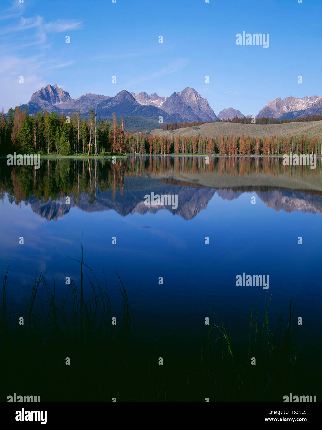 Stati Uniti d'America, Idaho, Sawtooth National Recreation Area, Mt. Heyburn e cime della gamma a dente di sega di riflettere con un po' di scorfano Lago di prima mattina. Foto Stock