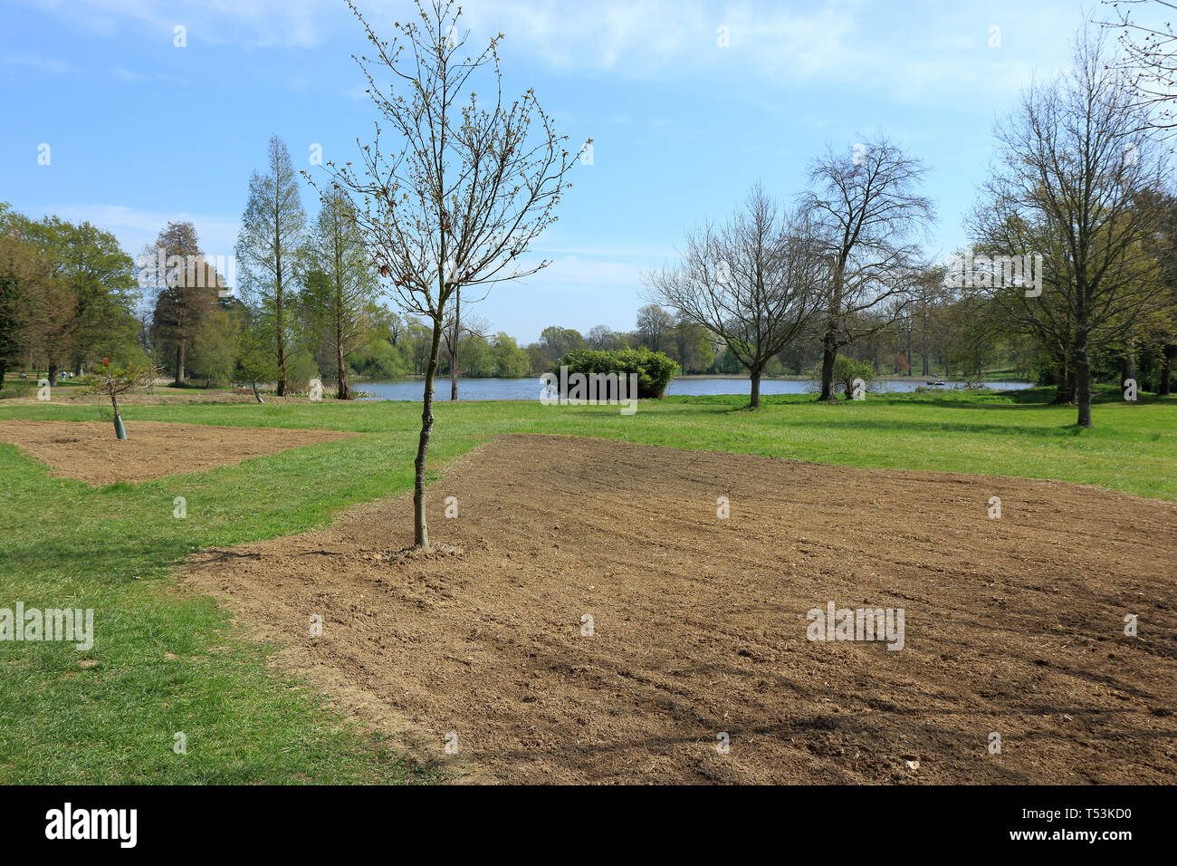 Campi e boschi di Hever Campagna Foto Stock