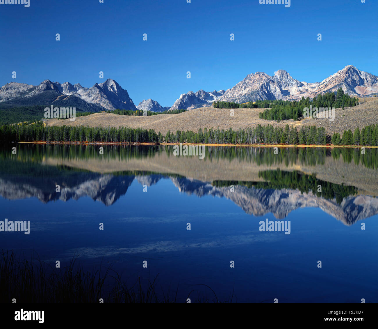 Stati Uniti d'America, Idaho, Sawtooth National Recreation Area, picchi della gamma a dente di sega di riflettere con un po' di scorfano Lago di prima mattina. Foto Stock