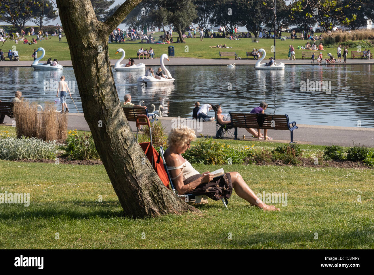 Signora anziana a prendere il sole e la lettura sotto un albero nel parco locale durante un incantesimo di clima caldo Foto Stock