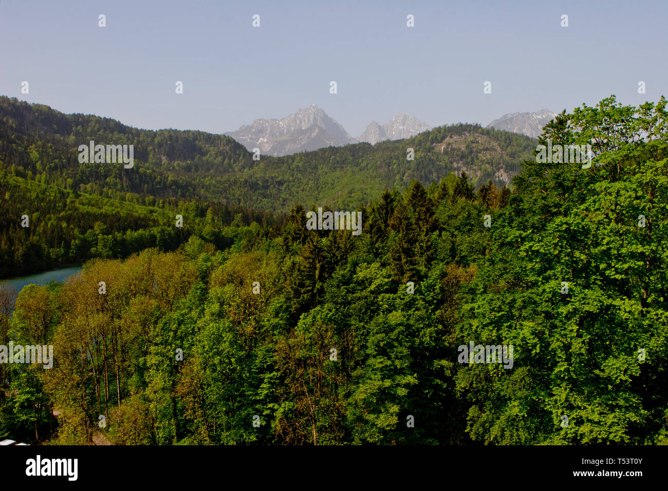 Alpi bavaresi da Schloss Hohenschwangau Foto Stock