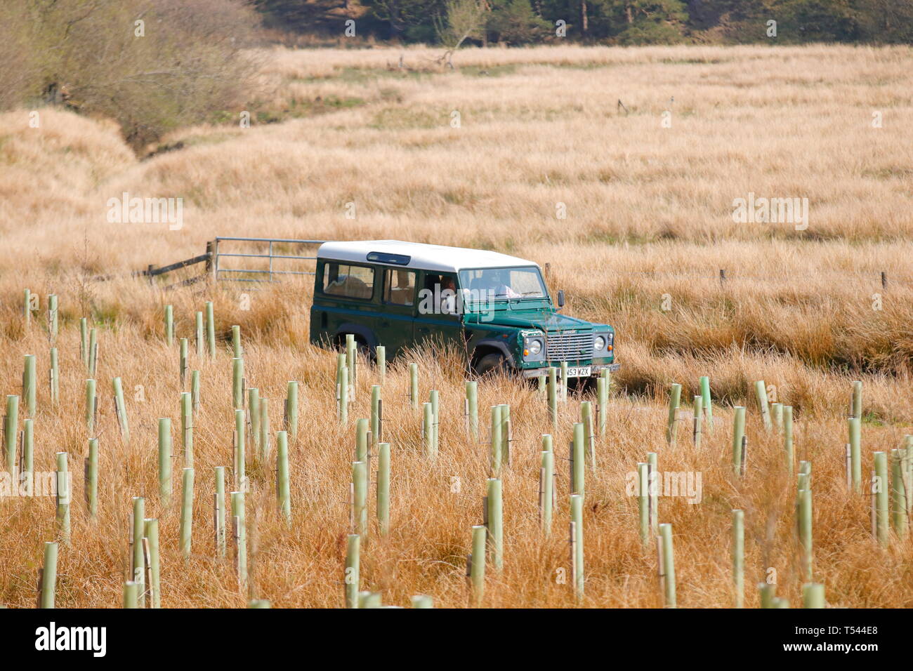 Un difensore Landrover nelle valli dello Yorkshire Foto Stock