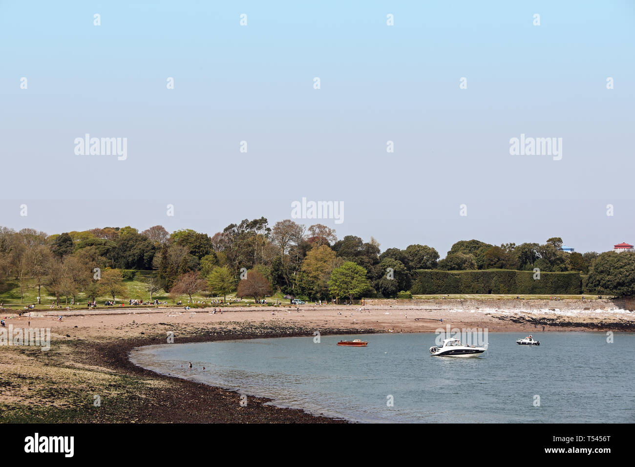 Mount Edgcumbe Park Cornwall 2019 Pasqua. Foto Stock