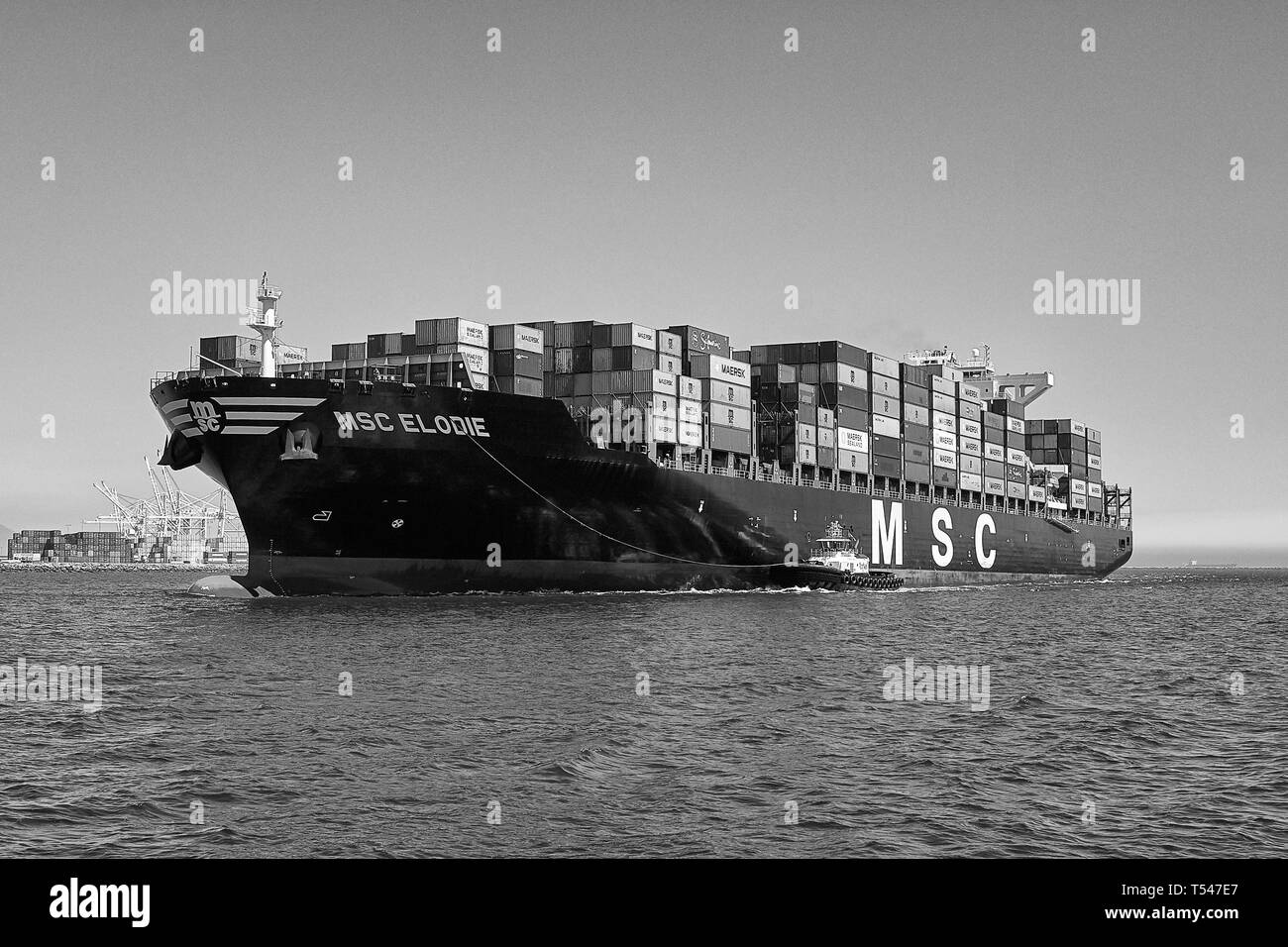 Foto in bianco e nero della nave portacontainer, MSC ELODIE, scortata da Tugs, che fuma verso il Long Beach Container Terminal, California, USA. Foto Stock