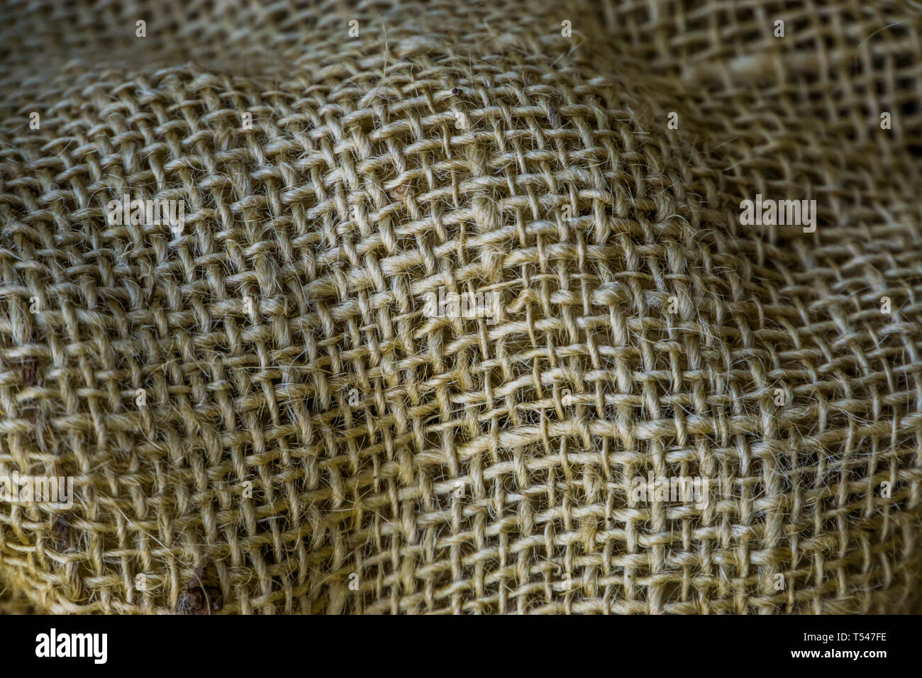 Macro closeup di iuta di un tessuto in iuta, cilicio texture, vecchi tessuti vintage, sullo sfondo di tela Foto Stock
