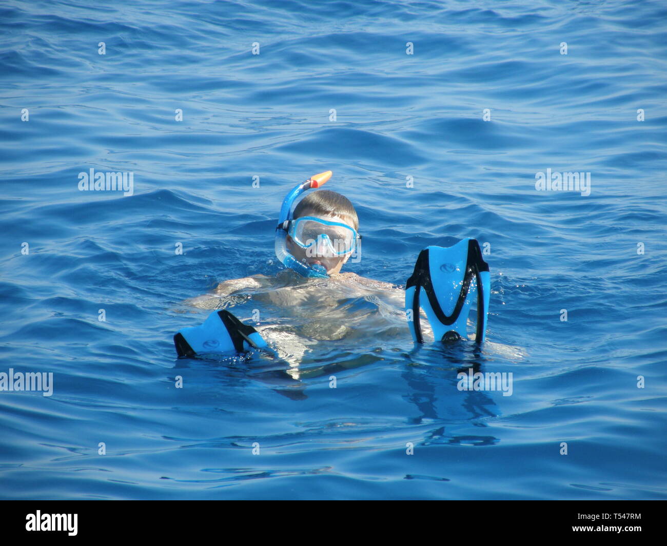 Immagine di un uomo lo snorkeling in mare ammirando le barriere coralline e i pesci.Sharm el Sheik Egitto. Foto Stock