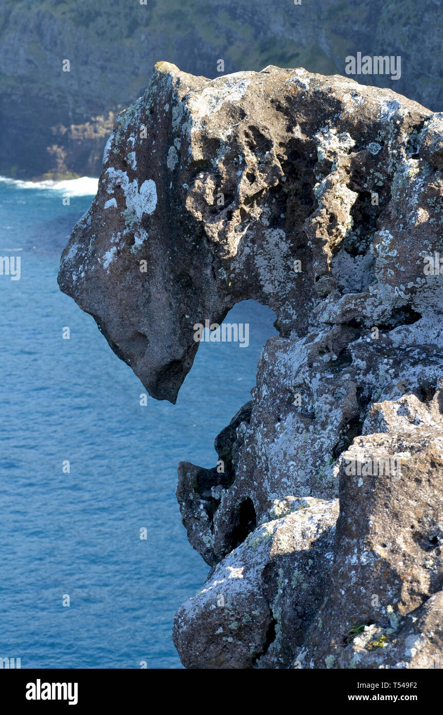 La testa del dragone, una roccia scolpita da erosione di vento in Anjos Bay, sulla costa nord di Santa Maria island, Azzorre Foto Stock