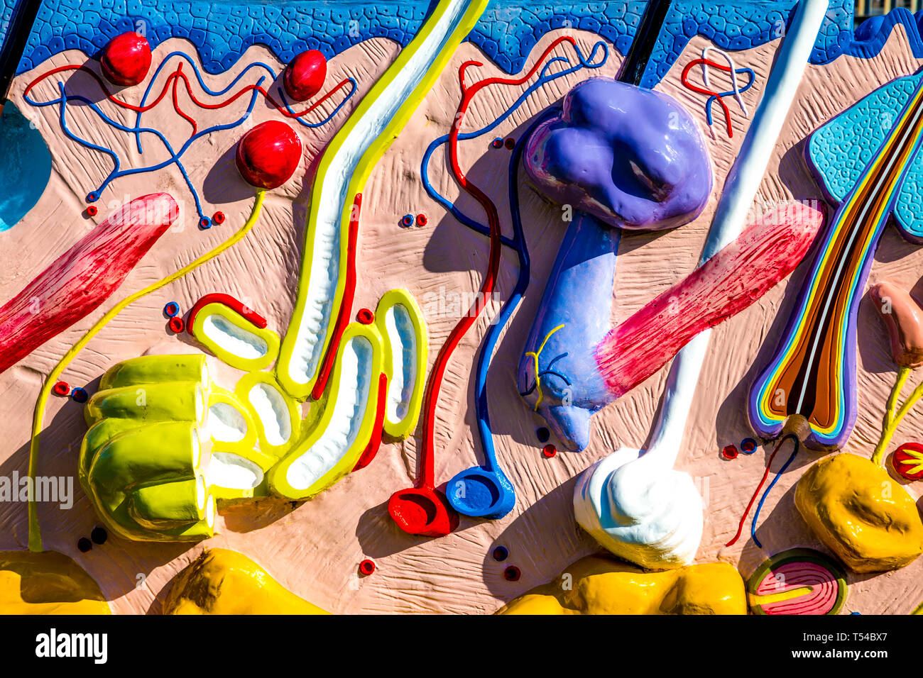 Dettaglio di 'Sensation' 2003 scultura di Damien Hirst come parte della linea del sentiero delle sculture a Cody Dock, Londra, Regno Unito Foto Stock