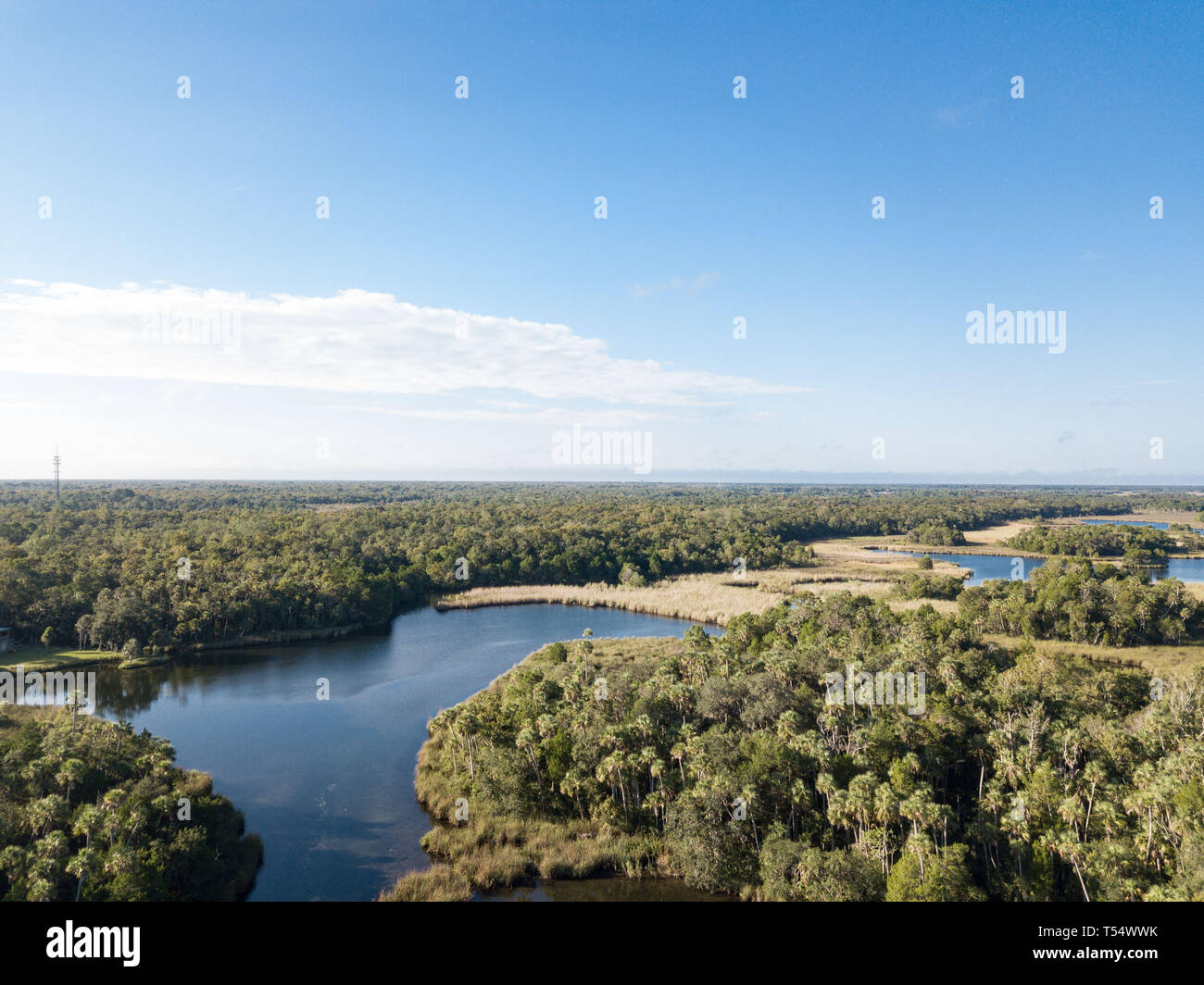 Inland affluenti vista aerea di Homosassa Foto Stock