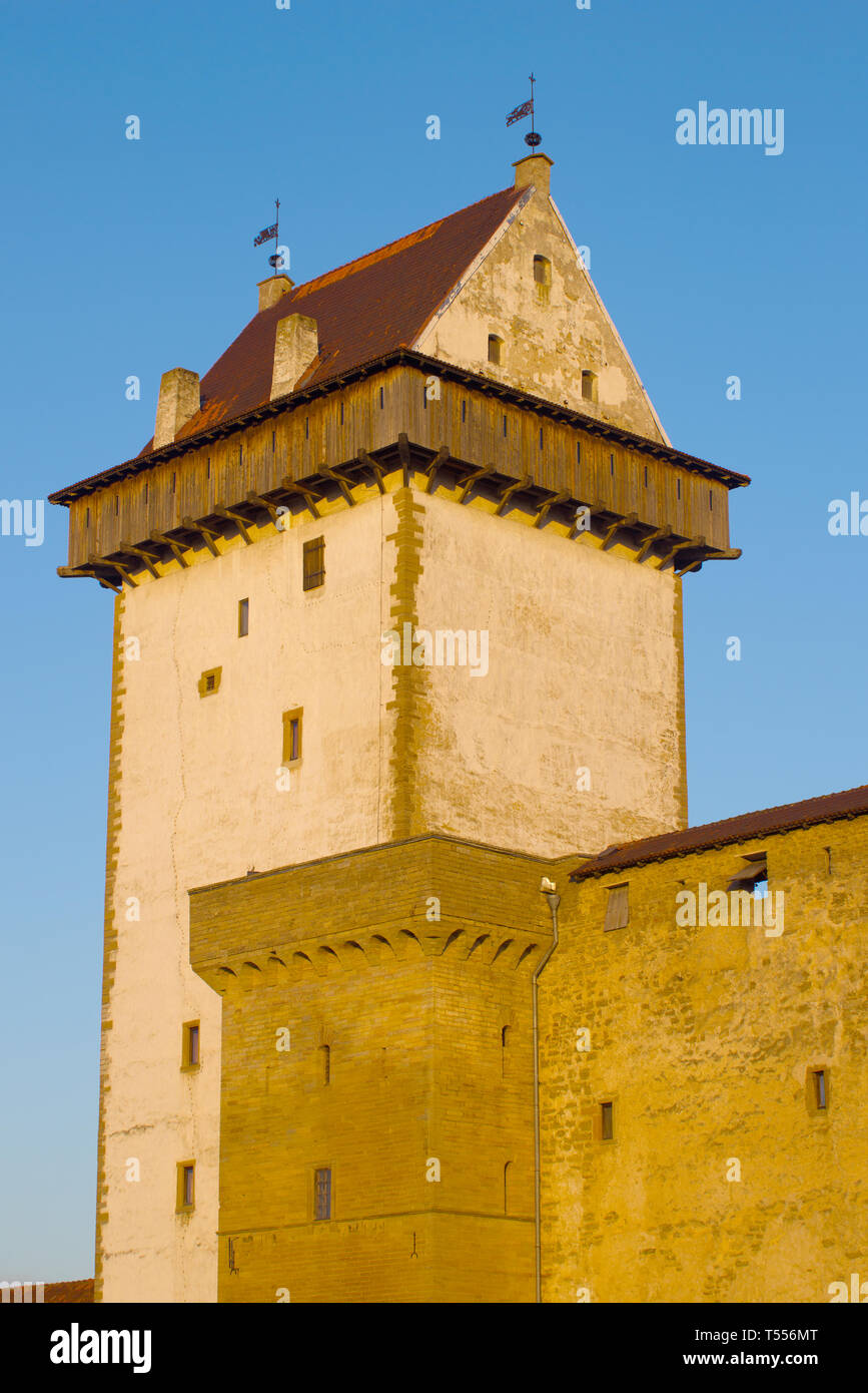 La torre principale (lunga Hermann) del castello medievale di Narva close-up nella luce del sole al tramonto. Narva, Estonia Foto Stock
