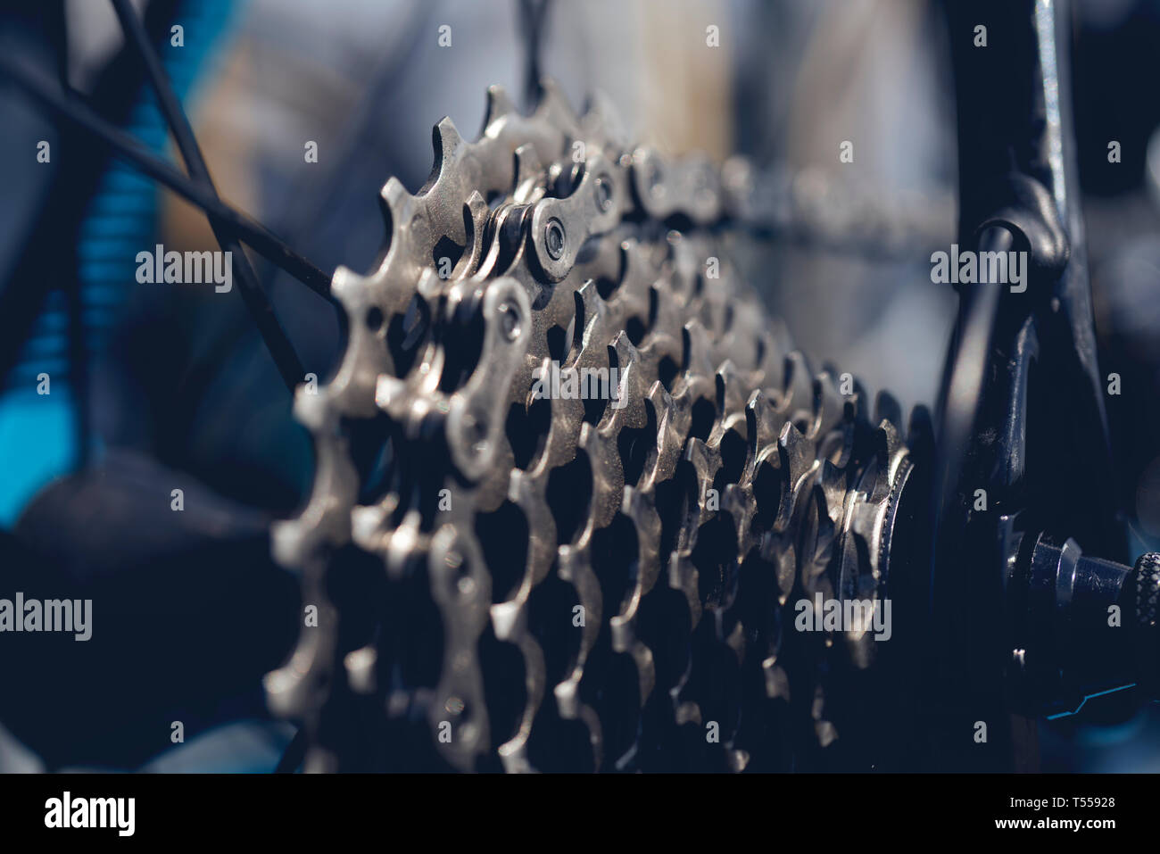 Parte posteriore della mountain bike dettaglio della ruota Foto Stock