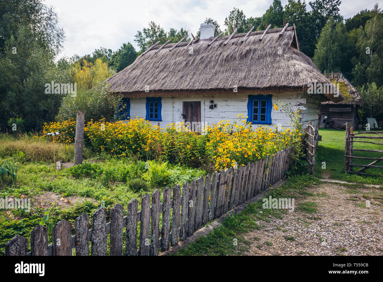 Casa in legno con tetto di paglia in Bialowieskie Siolo inn di Budy village, Voivodato Podlaskie in Polonia Foto Stock