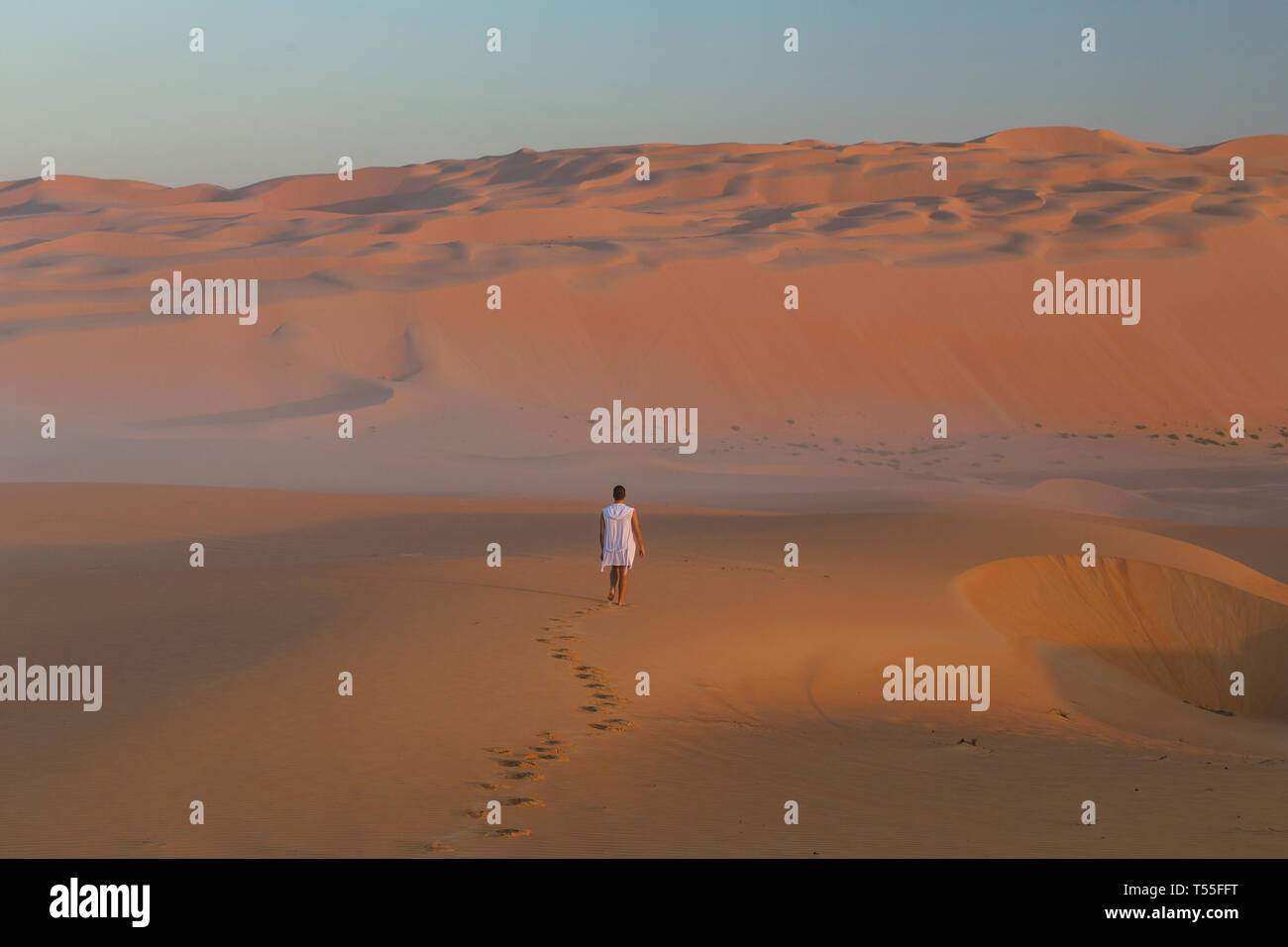 I UAE Abu Dhabi Provincia, Liwa Oasis, Rub Al Khali desert (Empty Quarter) MR Foto Stock