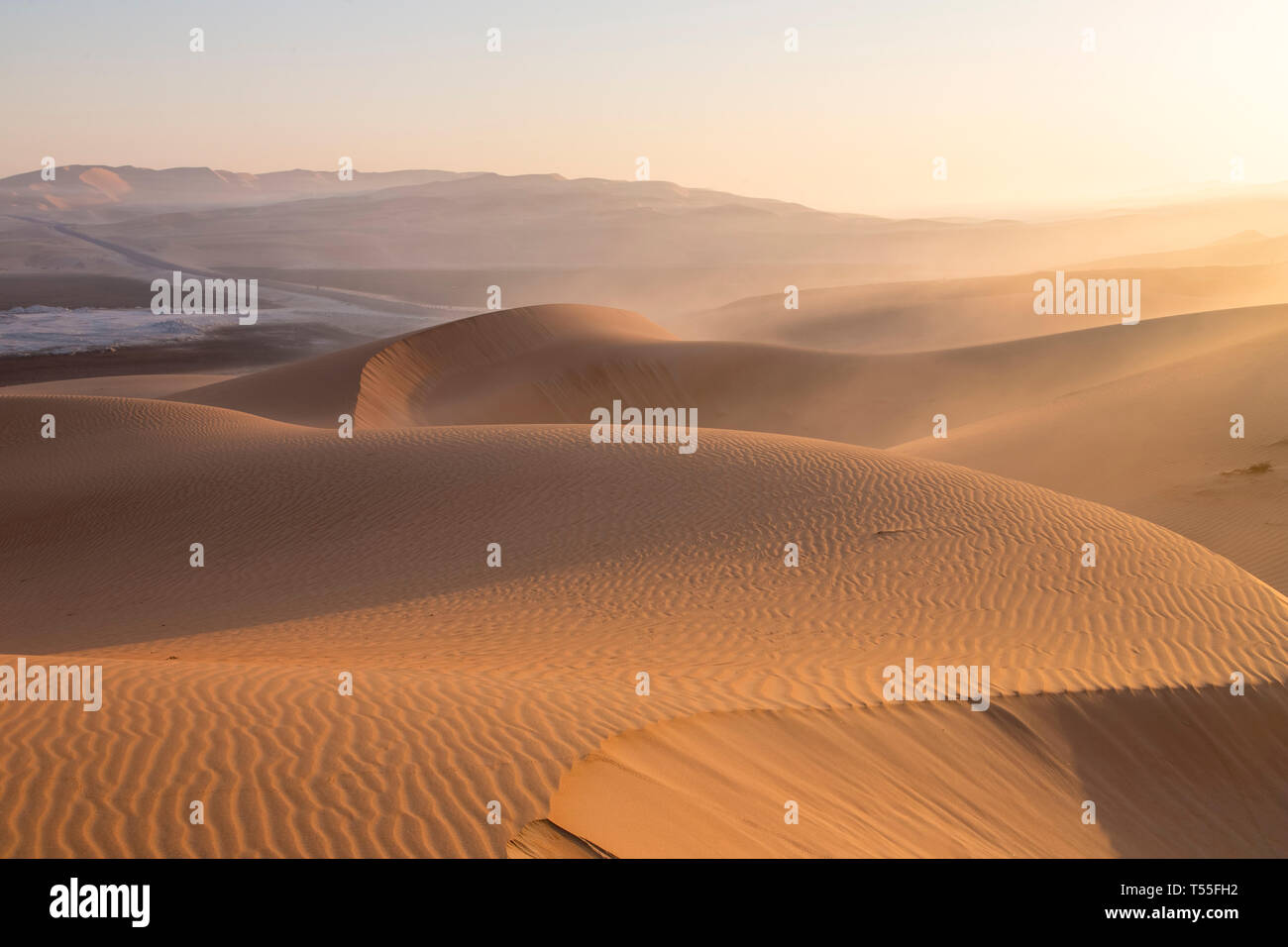 I UAE Abu Dhabi Provincia, Liwa Oasis, Rub Al Khali desert (Empty Quarter) Foto Stock