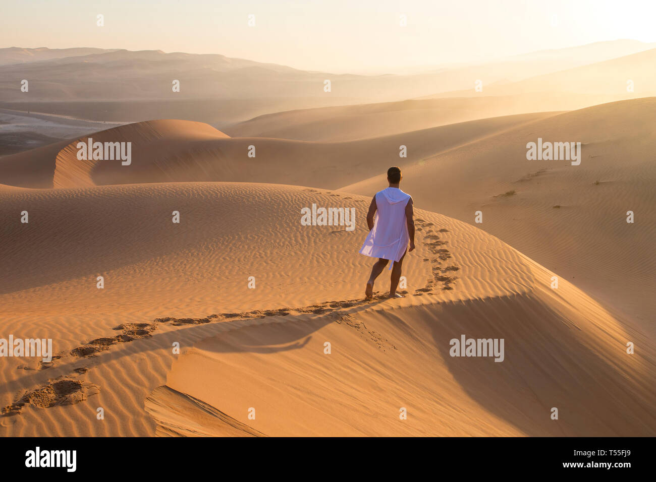 I UAE Abu Dhabi Provincia, Liwa Oasis, Rub Al Khali desert (Empty Quarter) MR Foto Stock