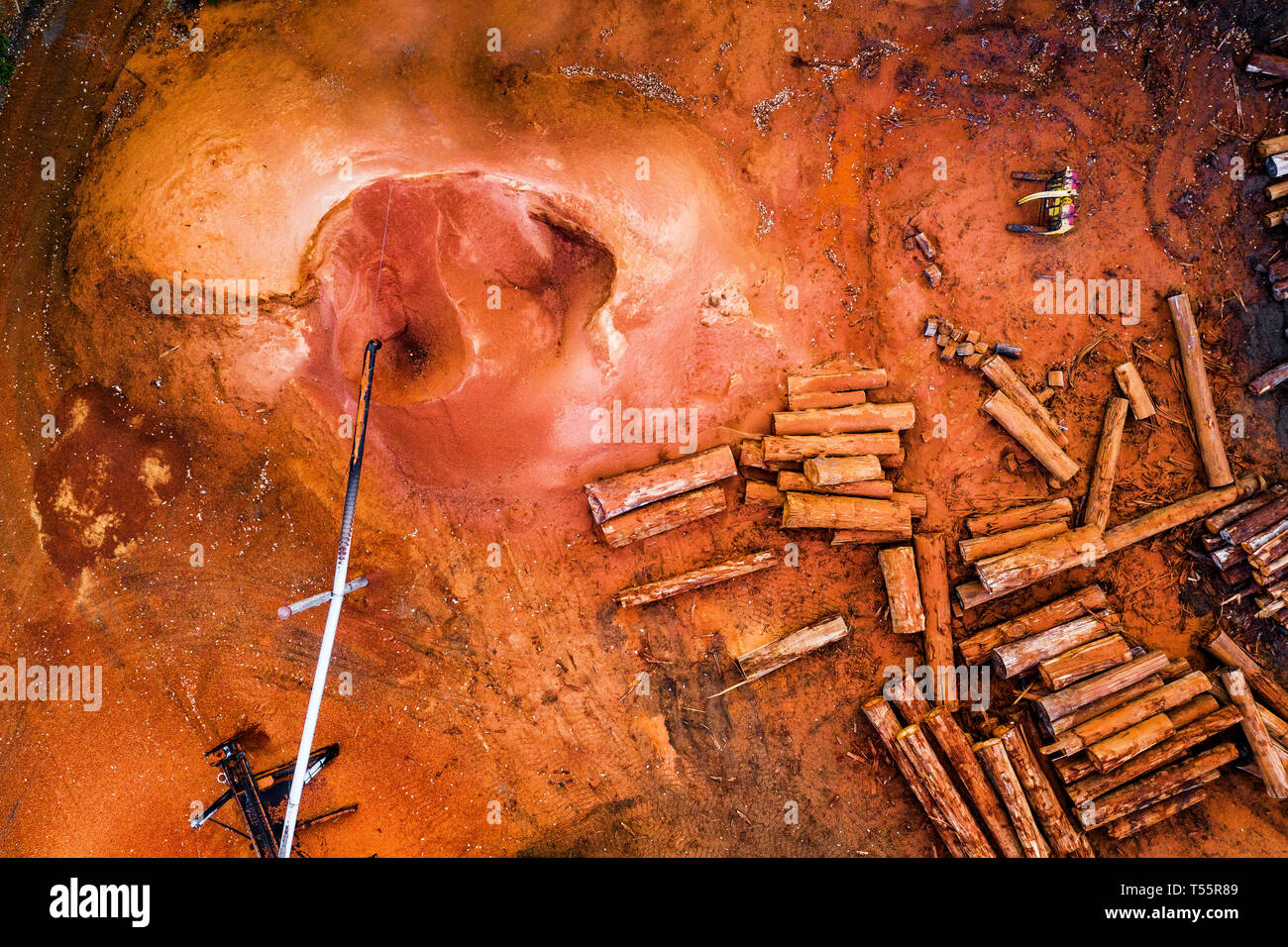 Legno Mil nel sud-ovest del Western Australia Foto Stock