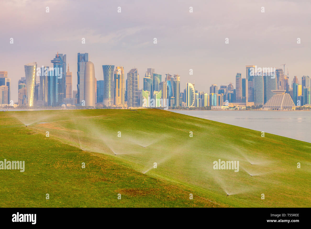 Il sistema di sprinkler su un prato da skyline di Doha, in Qatar Foto Stock