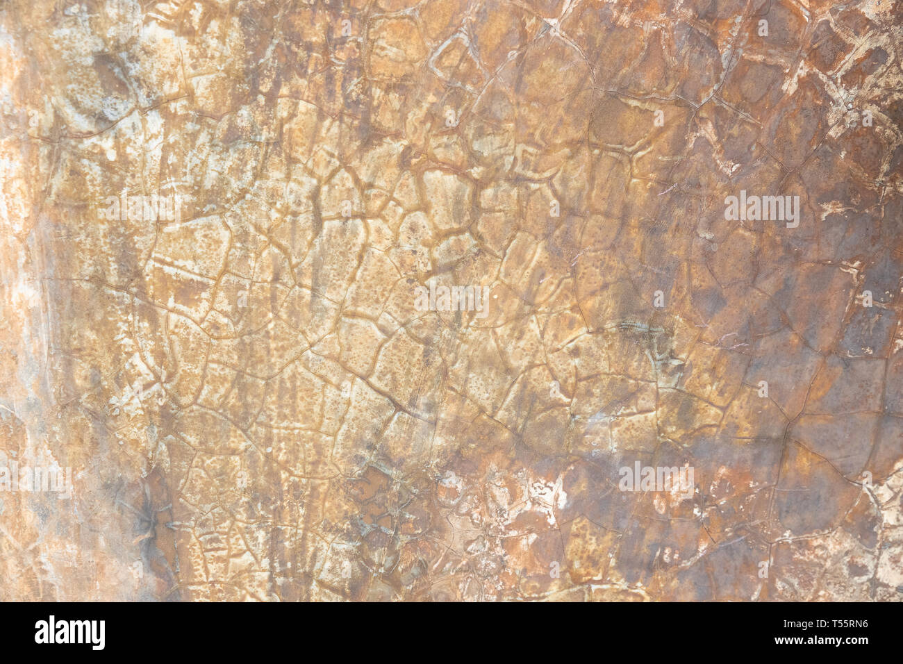 Calcestruzzo sfondo texture Foto Stock