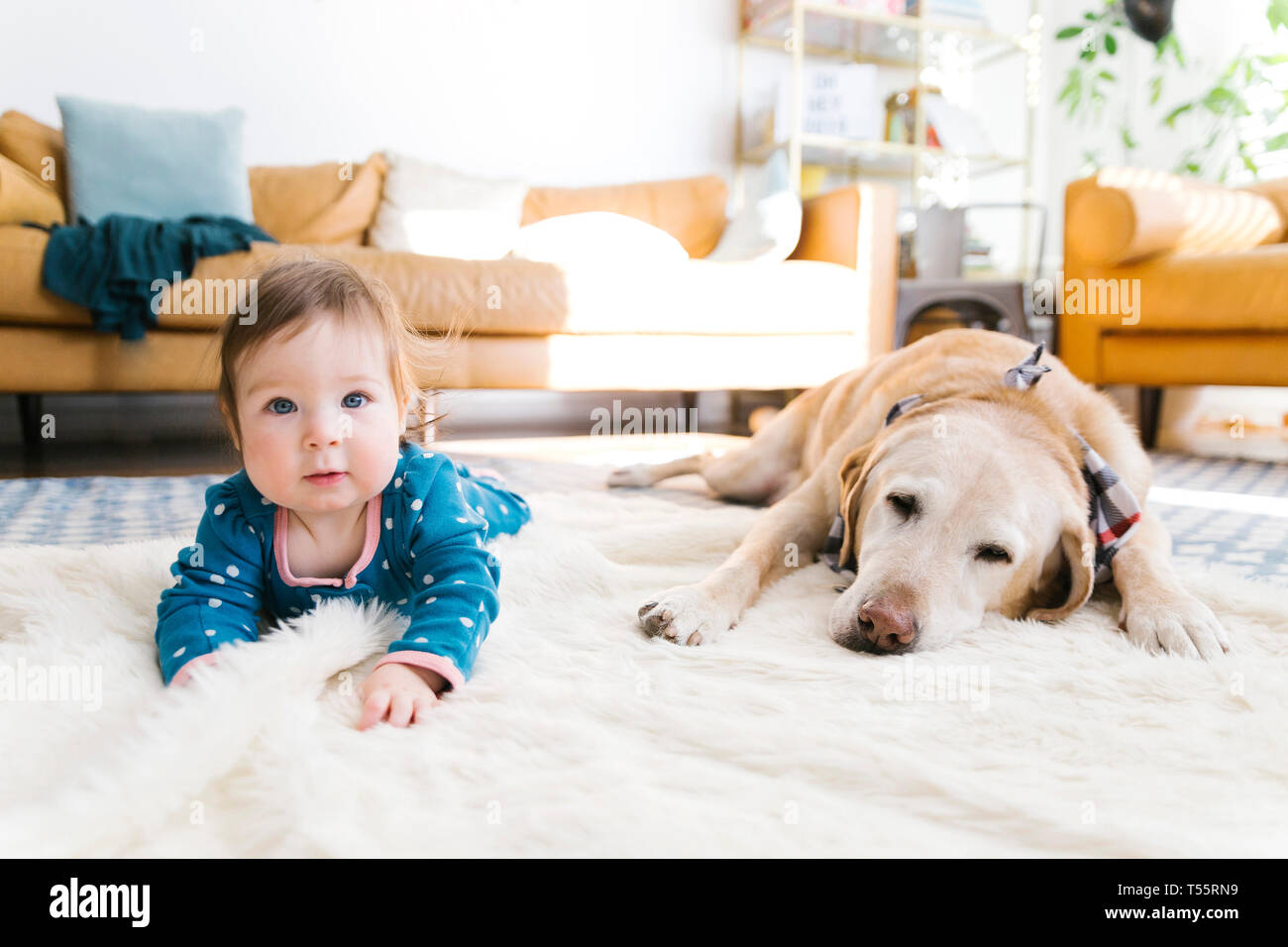 Baby girl e cane giacente su rug Foto Stock