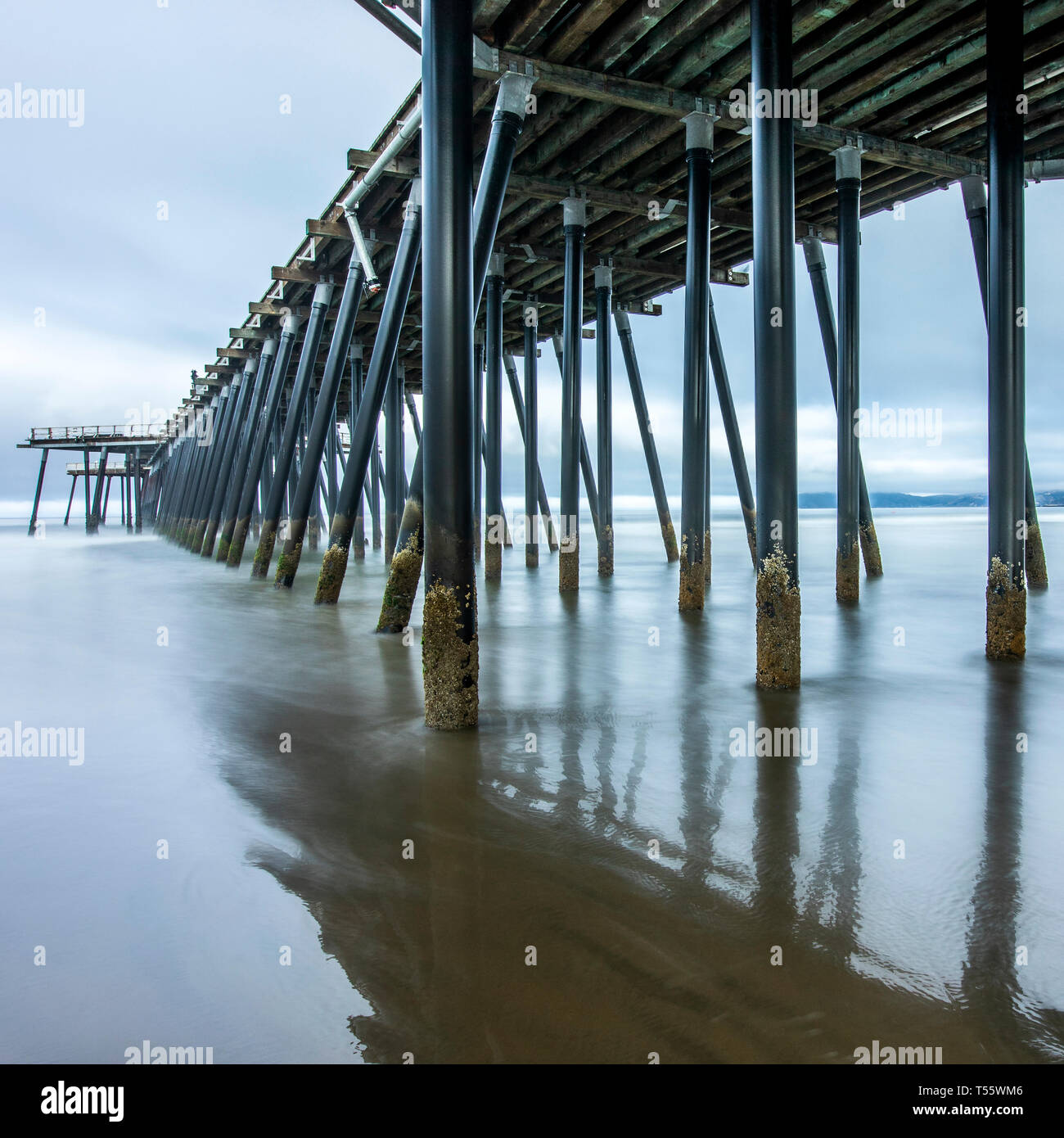Pier su Pismo Beach, California, Stati Uniti d'America Foto Stock