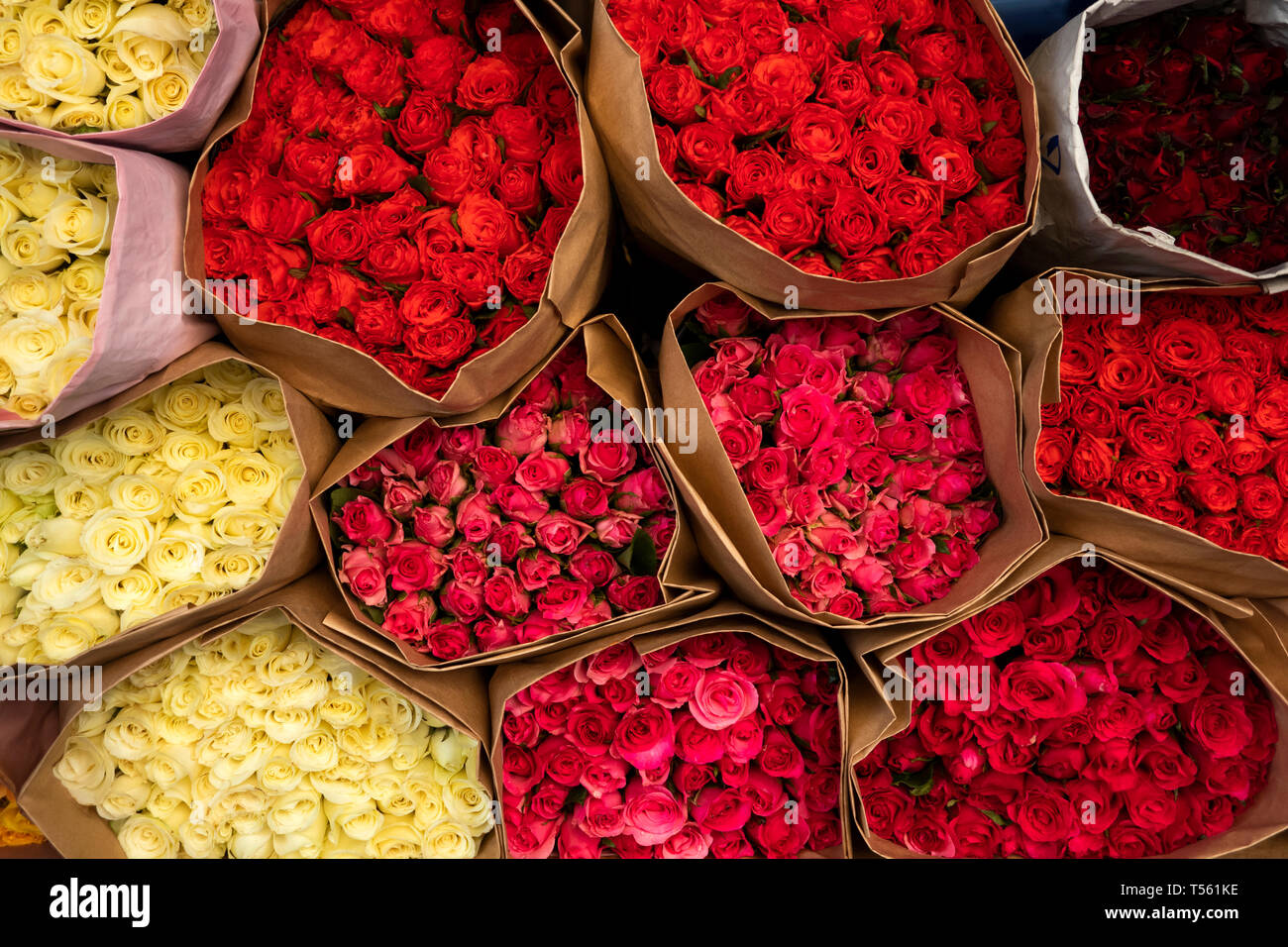 Thailandia, Bangkok, Thanon Chakkraphet, il mercato dei fiori, commercio all'ingrosso grappoli di rosso e rose bianche sul display Foto Stock
