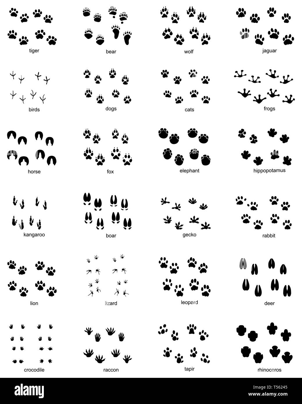 Mangiatoia Per Scoiattoli In Legno Massello - Casetta Da Esterno Con Finestra In Plexiglass, Resistente Alle Intemperie - Foto 9