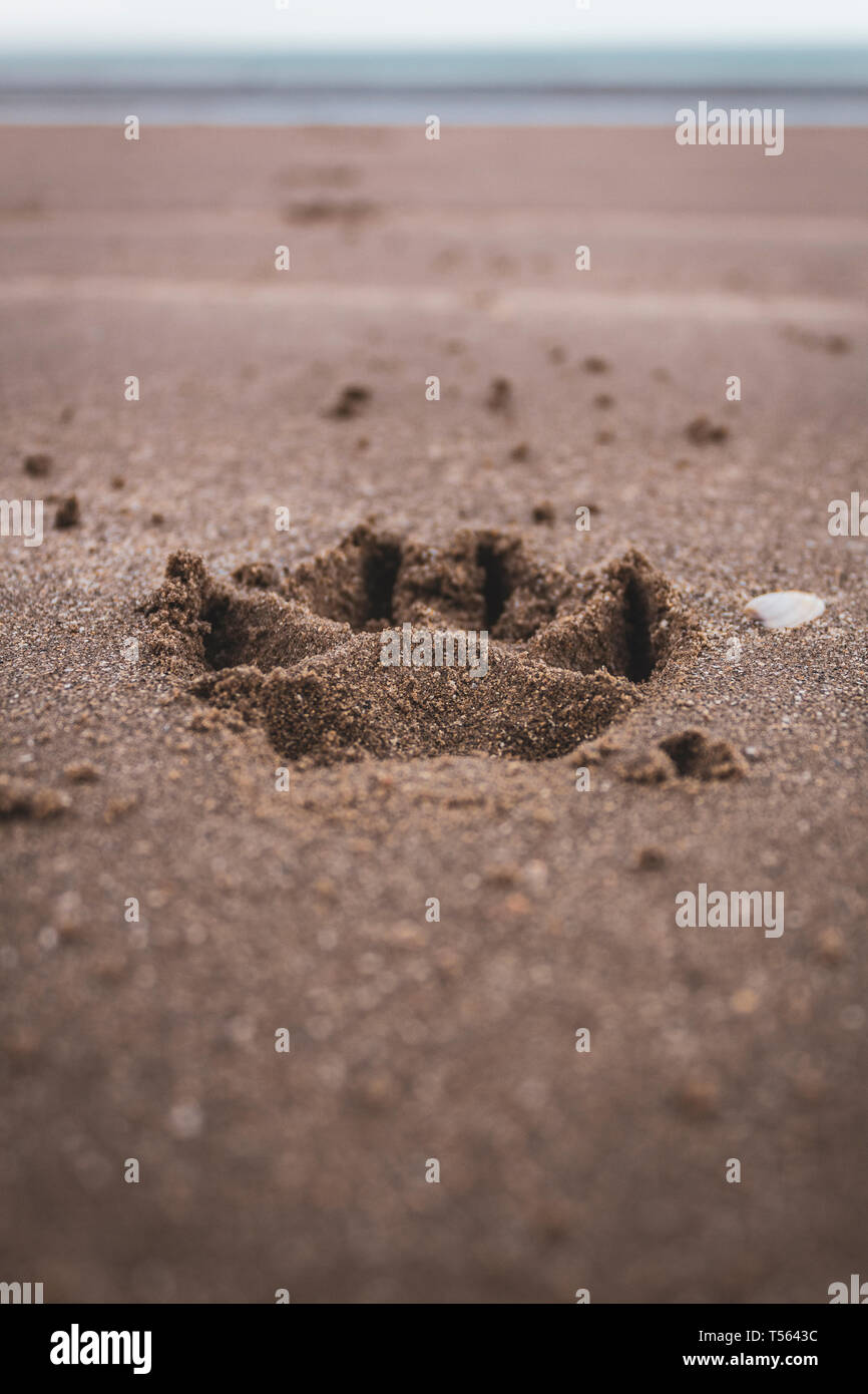 Impronta di un cane la zampata di sabbia su una spiaggia a Dublino, Irlanda. Foto Stock