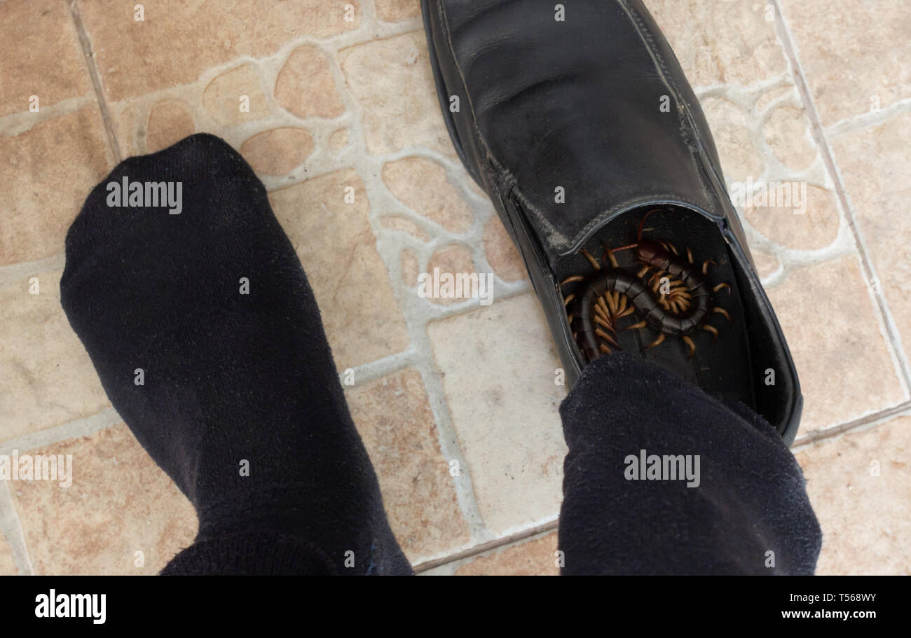 Scarpe giganti immagini e fotografie stock ad alta risoluzione - Alamy