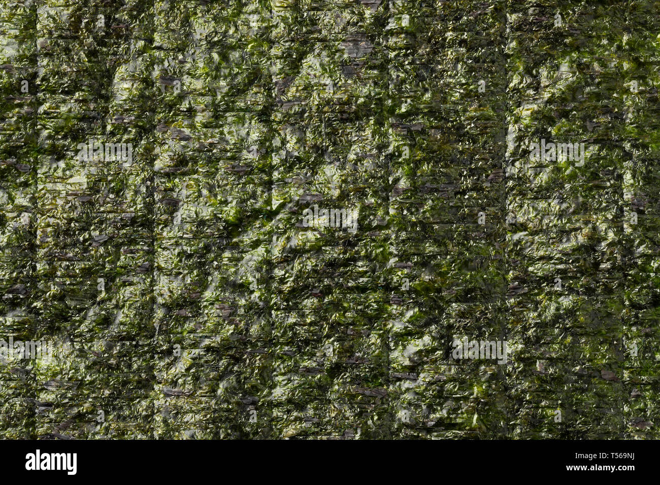 Foglio di verde essiccata nori frame completo Foto Stock
