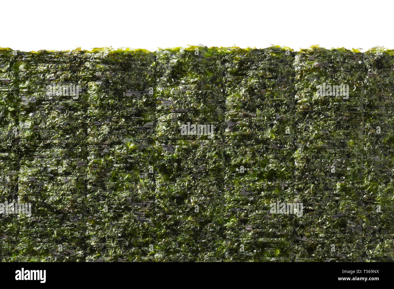 Foglio di essiccato nori verde con spazio per il testo nella parte superiore Foto Stock