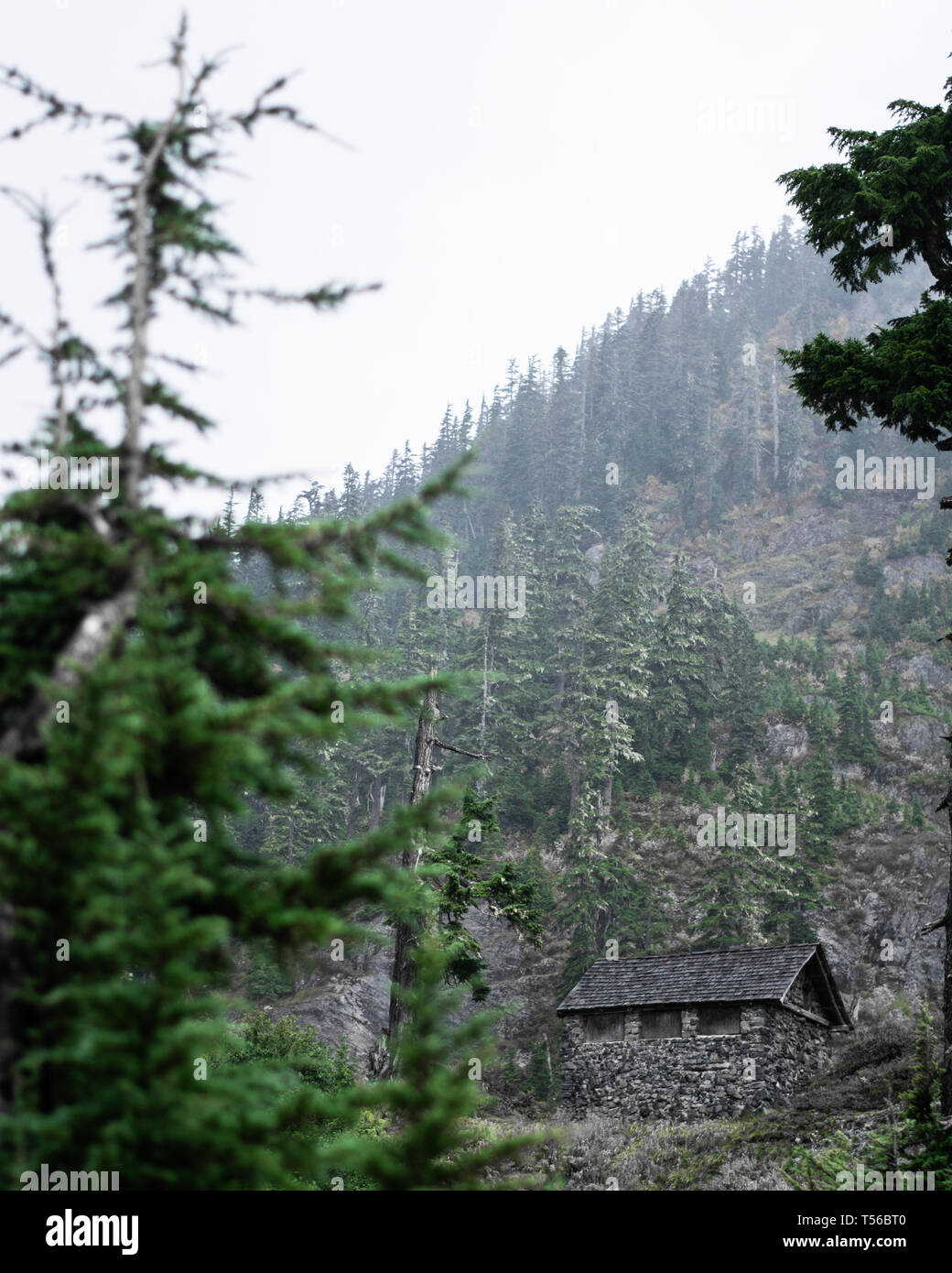 La vista dalla scogliera di una cabina isolata in alberi sulla sommità di una nebbiosa foggy mountain Foto Stock