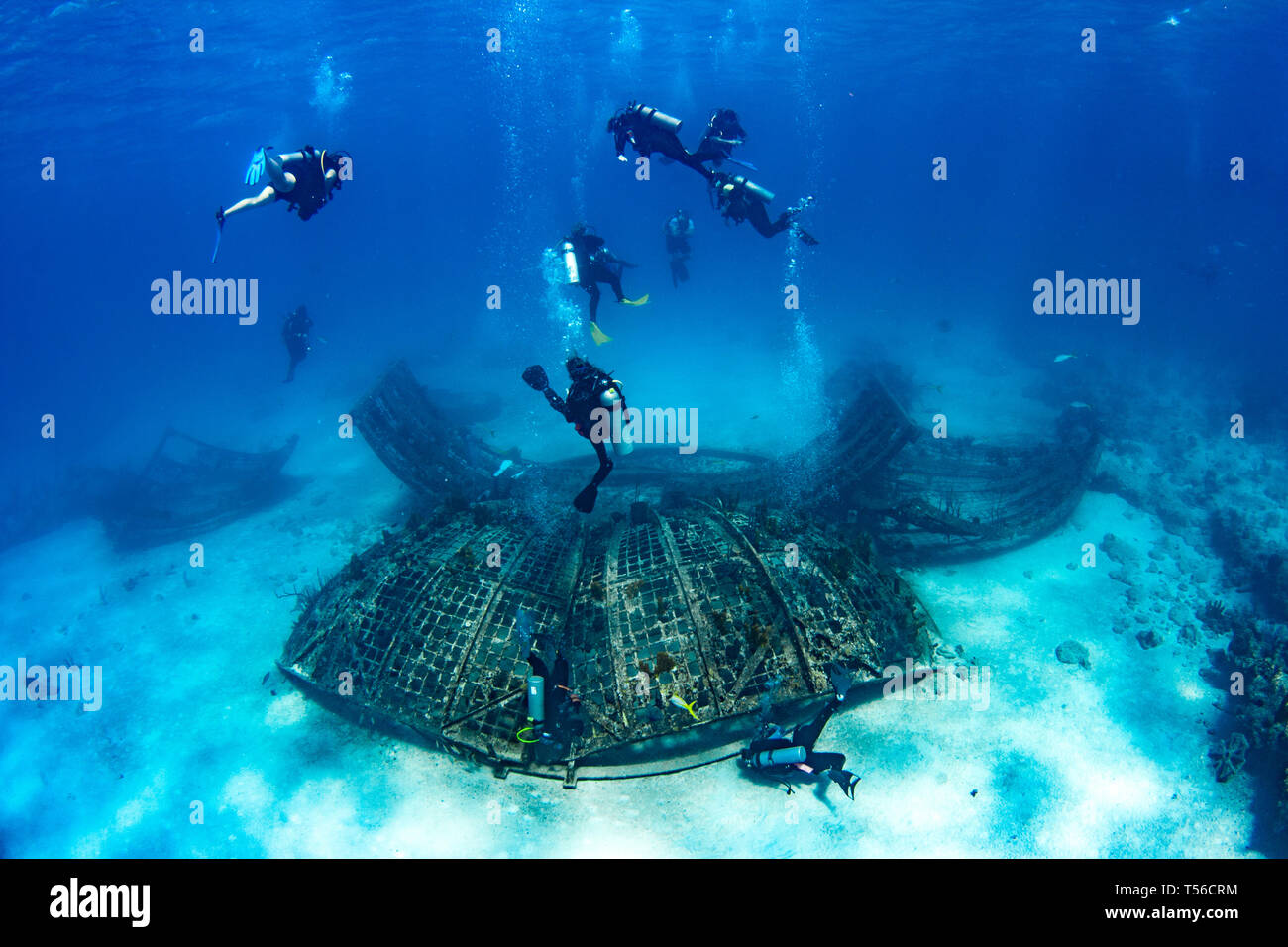I subacquei esplorare ciò che resta del tuono-dome, ora un reef artificiale nelle Isole Turks e Caicos. Foto Stock