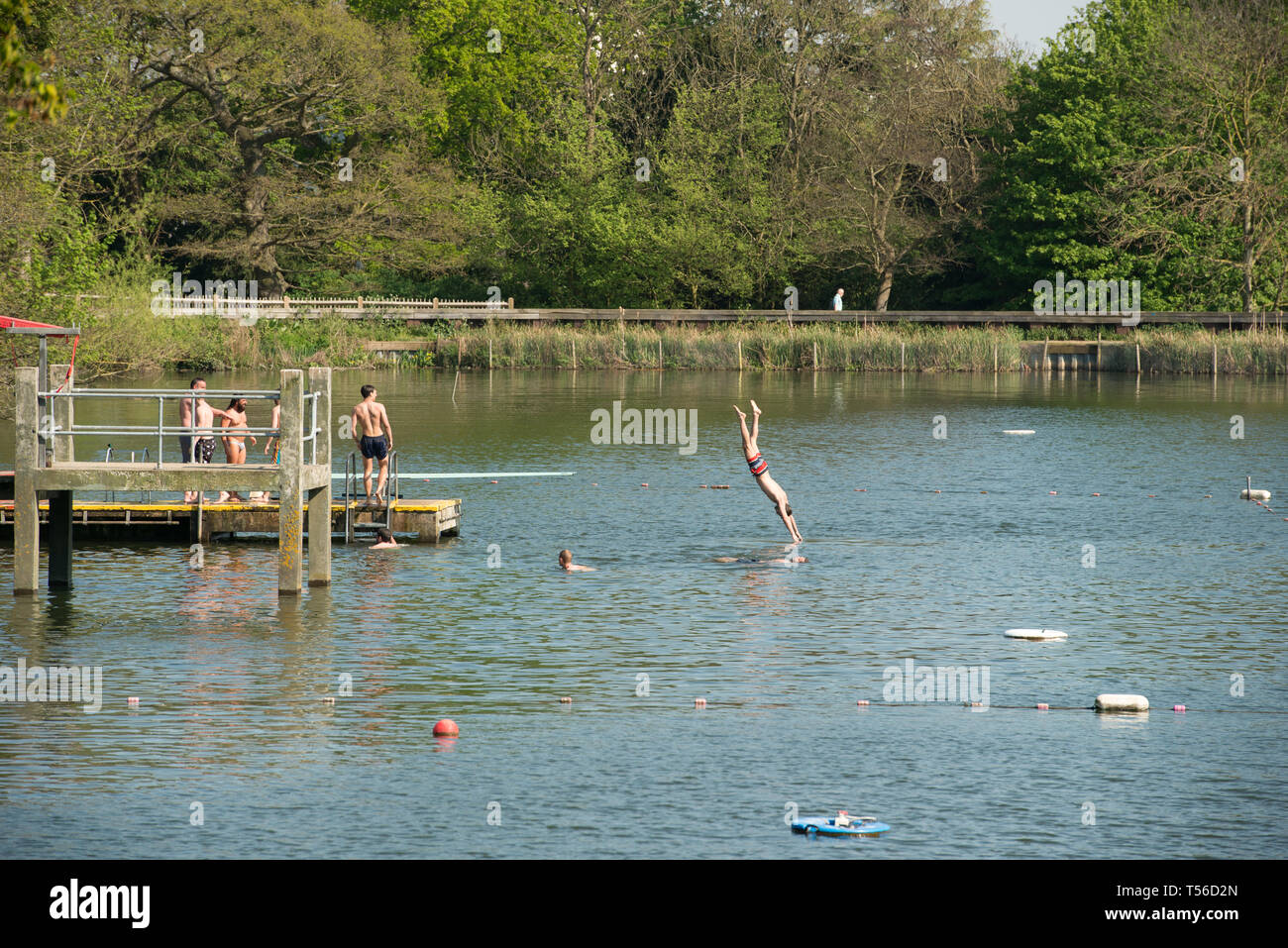 Hampstead Heath, Londra, Regno Unito. Xxi Aprile, 2019. © Byron Kirk Foto Stock