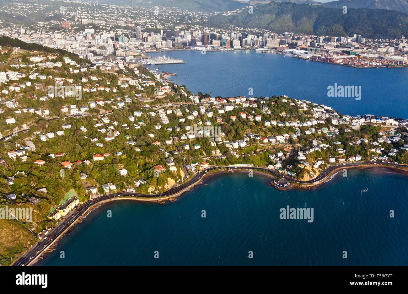 Case in Wellington (Roseneath) con Wellington City in background. Preso da un piano decollo dall'Aeroporto di Wellington Foto Stock