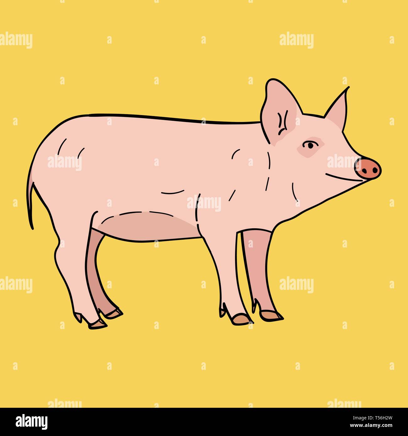 Maiale in stile scarabocchio. Illustrazione Vettoriale su uno sfondo colorato. Illustrazione Vettoriale