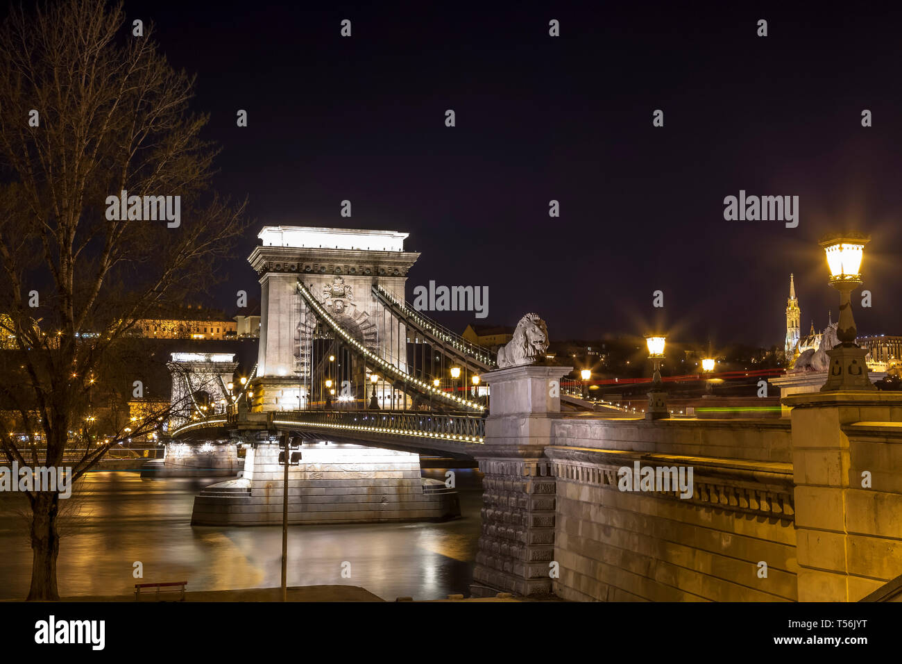 Budapest iconici Chain Bridge al crepuscolo Foto Stock