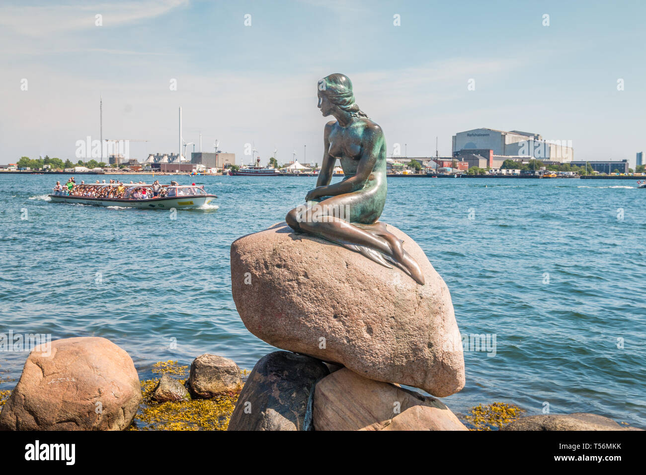 Bella vista della Sirenetta di Copenhagen Foto Stock