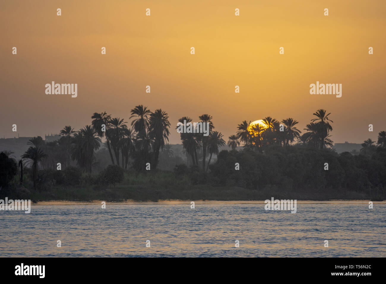L'Egiziano sole sorge dietro palme sulle rive del Nilo superiore fiume in Aswan Governate, Egitto. Foto Stock